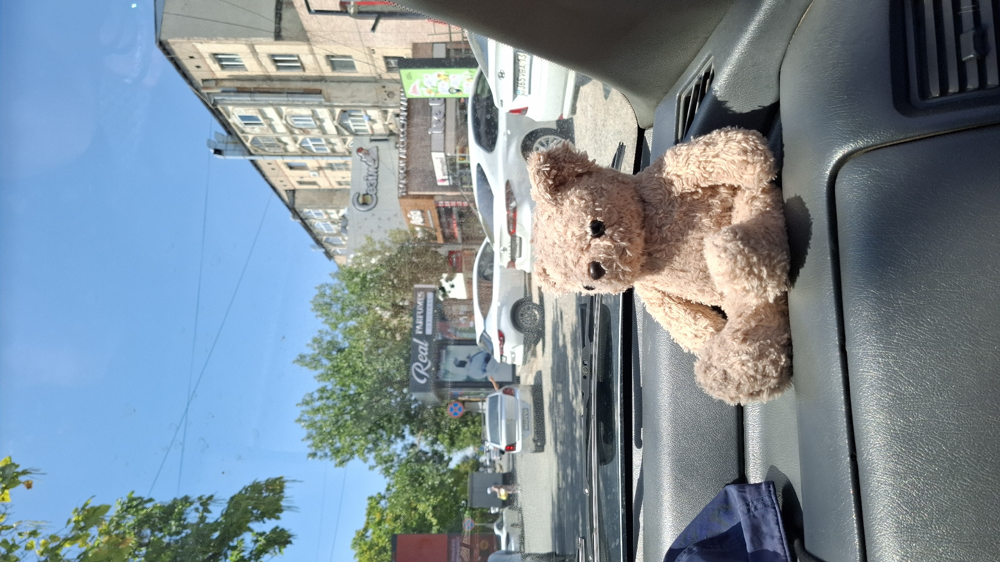 A light brown teddy bear sits on the dashboard of a car, facing forward. The car is in traffic on a sunny day. Through the windshield, a street scene is visible with buildings and trees lining the road. Several white cars are stopped in traffic. A sign that reads "Real PARFUMES" is visible on the side of a building, and another sign reads "Casino". The image was taken in Shymkent, Kazakhstan.