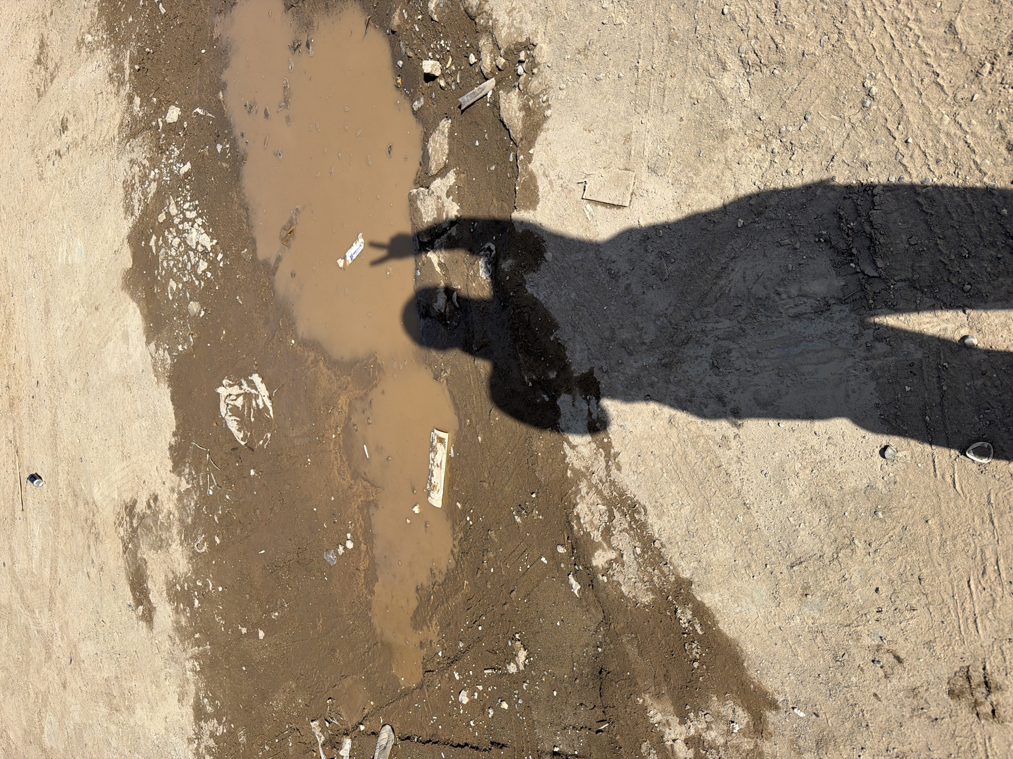 An overhead, high-angle shot captures a sunlit, muddy ground scene in Chaikovsky, Russia. The terrain features a large, irregularly shaped puddle of murky brown water surrounded by dark-brown wet mud, which transitions into lighter, drier beige earth and sand on the perimeter.
A prominent human shadow stretches across the right side of the image, extending over part of the dry ground, mud, and into the puddle. The shadow clearly depicts a hand making a "peace sign" (V-sign), indicating a playful or posed interaction by the person casting the shadow.
The ground and the puddle are littered with various debris. Within the puddle, several pieces of trash are visible, including a crumpled white plastic wrapper with some illegible blue text, and other indistinct fragments. The muddy areas are rough and uneven, scattered with small stones, pebbles, and other detritus. Faint tire tracks are visible on the drier ground towards the upper right. The sharp, well-defined shadow suggests bright sunlight, likely during midday or early afternoon on a clear day. The scene depicts an unkempt outdoor environment.