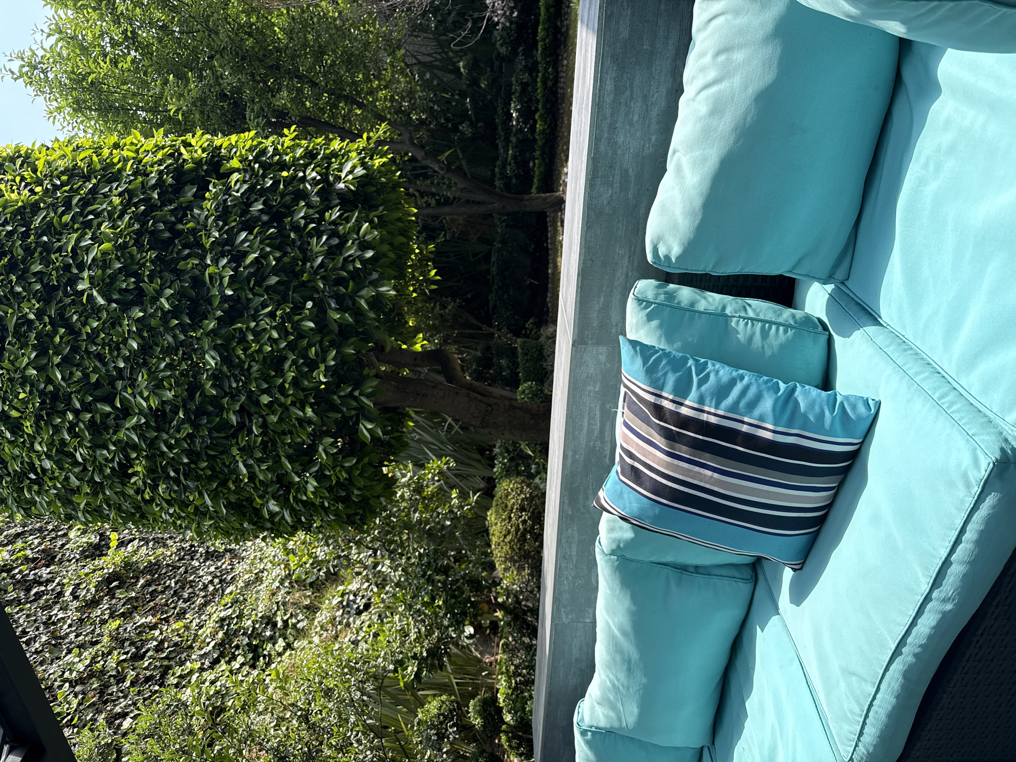 The image captures an inviting outdoor seating area alongside a lush garden, viewed from a slightly elevated perspective. In the foreground and right side of the frame, a segment of an outdoor sofa or lounge chair is visible, outfitted with thick, comfortable-looking light blue cushions. A single rectangular throw pillow, patterned with horizontal stripes in shades of blue, grey, black, and white, rests on the armrest area, adding a decorative accent.
Adjacent to the seating, a modern, grey concrete or stone partition serves as a divider, leading into the garden space that occupies the left and upper portions of the image. The garden is abundant with vibrant green foliage, featuring a prominent, neatly trimmed hedge composed of small, glossy leaves that catch the light. Behind the hedge, taller trees with visible trunks and dense canopies rise towards a bright, clear sky. Further down, various other shrubs and ground cover, possibly ivy, contribute to the verdant landscape.
The scene is illuminated by bright natural sunlight, indicating it is daytime, likely morning or afternoon. Distinct shadows are cast on the sofa cushions and within the foliage, emphasizing texture and depth. The overall atmosphere is one of serenity and natural beauty, characteristic of a well-maintained outdoor leisure area in a sunny climate. There are no people or discernible text present in the image.