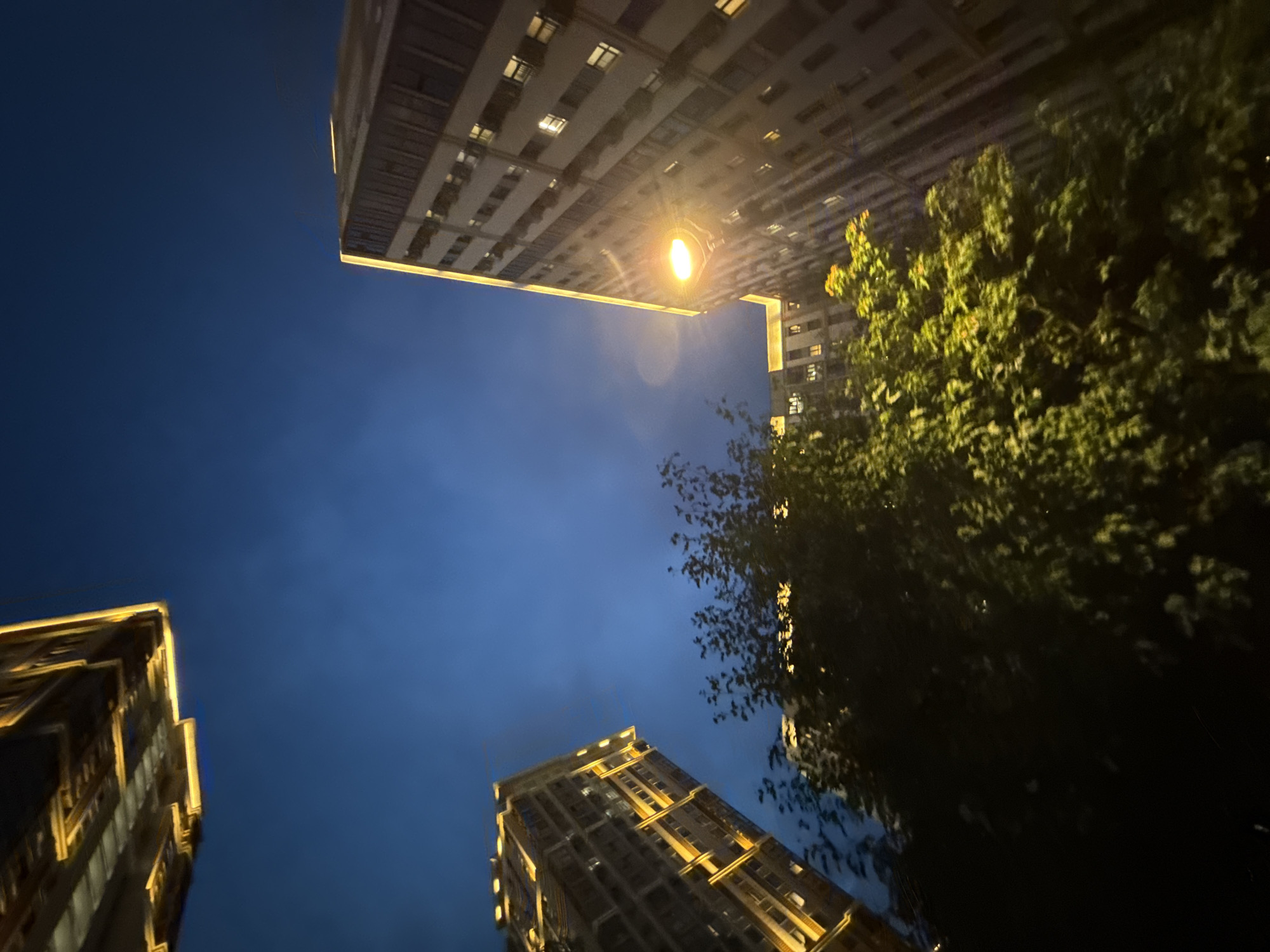 The image shows a nighttime view of several residential buildings in Moscow, Russia. The sky is a deep blue, with some faint clouds visible. The buildings are illuminated by warm yellow lights from windows and decorative exterior lighting. In the foreground, there is a large, dark tree with green leaves, some of which are lit by the artificial lights. The perspective is from a low angle, looking up at the buildings, suggesting the photo was taken from the ground or a lower floor. There are no people visible in the image. The overall impression is of a modern urban environment at night.