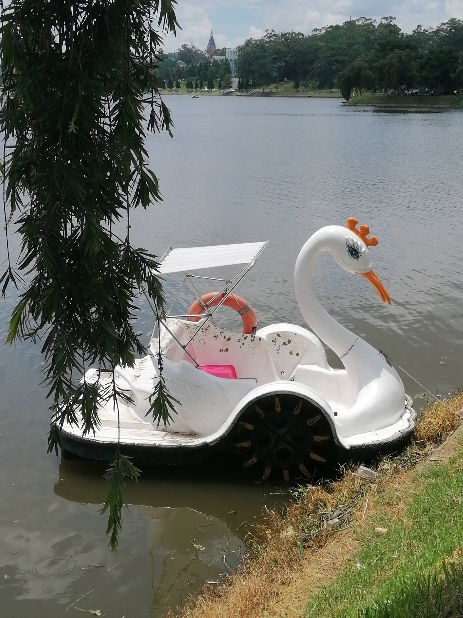 In Da Lat, Vietnam, a swan-shaped pedal boat is docked near the grassy bank of a calm lake. The white boat, designed with a prominent swan head, neck, and orange beak, sits on the water's surface. A small white canopy extends over the seating area, where an orange life preserver is visible. The boat is positioned close to the shore, with dry grass and some scattered debris along the edge of the water. Lush green trees and buildings, including one with a spire, line the opposite bank of the lake in the background, under a partly cloudy sky. Willow branches hang down from the left side of the frame, partially obscuring the view of the boat and the lake.