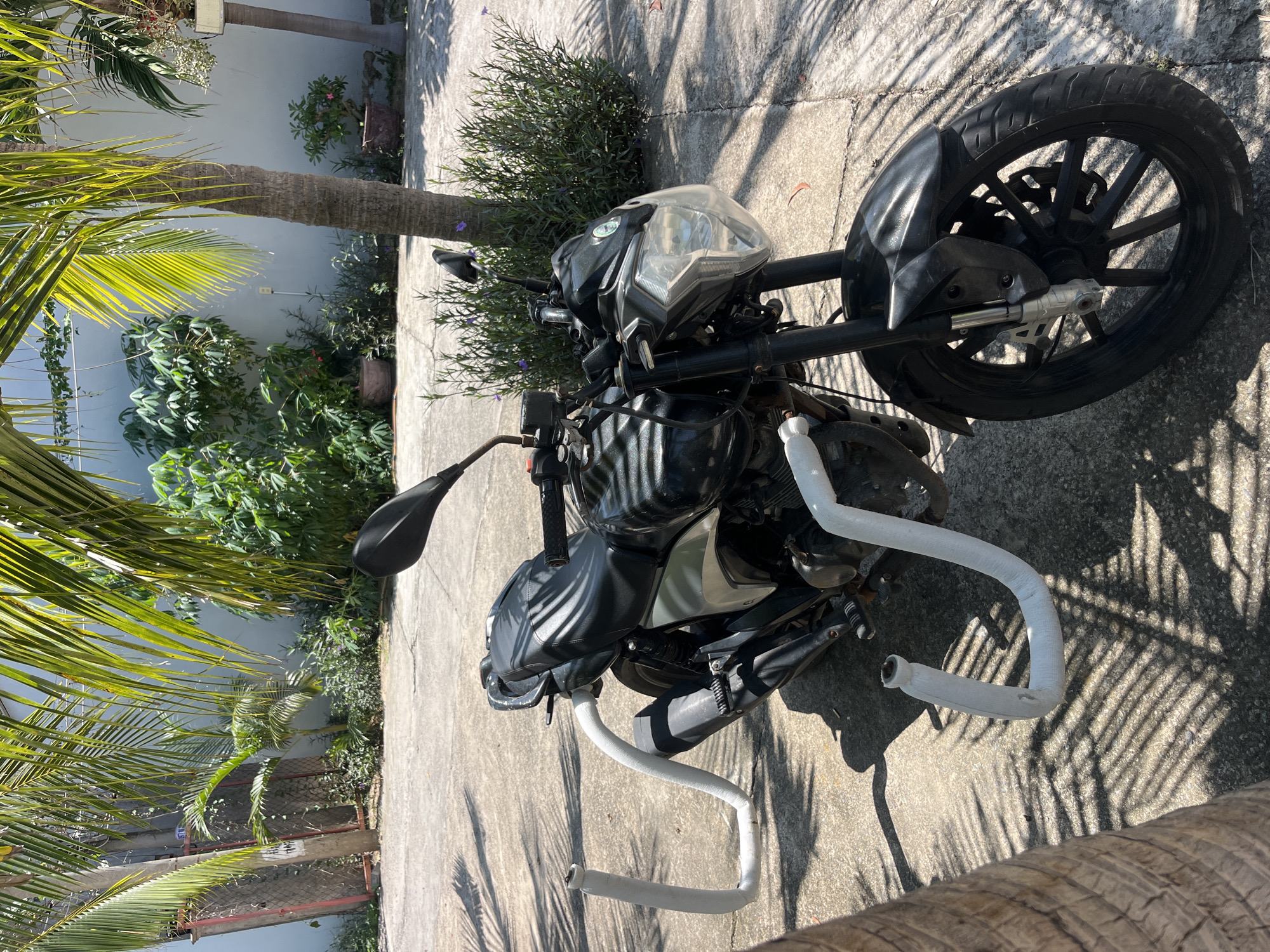 An outdoor scene in Phu Thuy Ward, Vietnam shows a black motorcycle parked on a concrete surface. The motorcycle is equipped with white protective bars around its sides, which are bent into a curved shape. The motorcycle is partially shaded by palm fronds, casting dappled shadows on the ground. In the background, there are lush green plants, a wall, and a palm tree. The overall impression is one of a sunny day in a tropical environment.