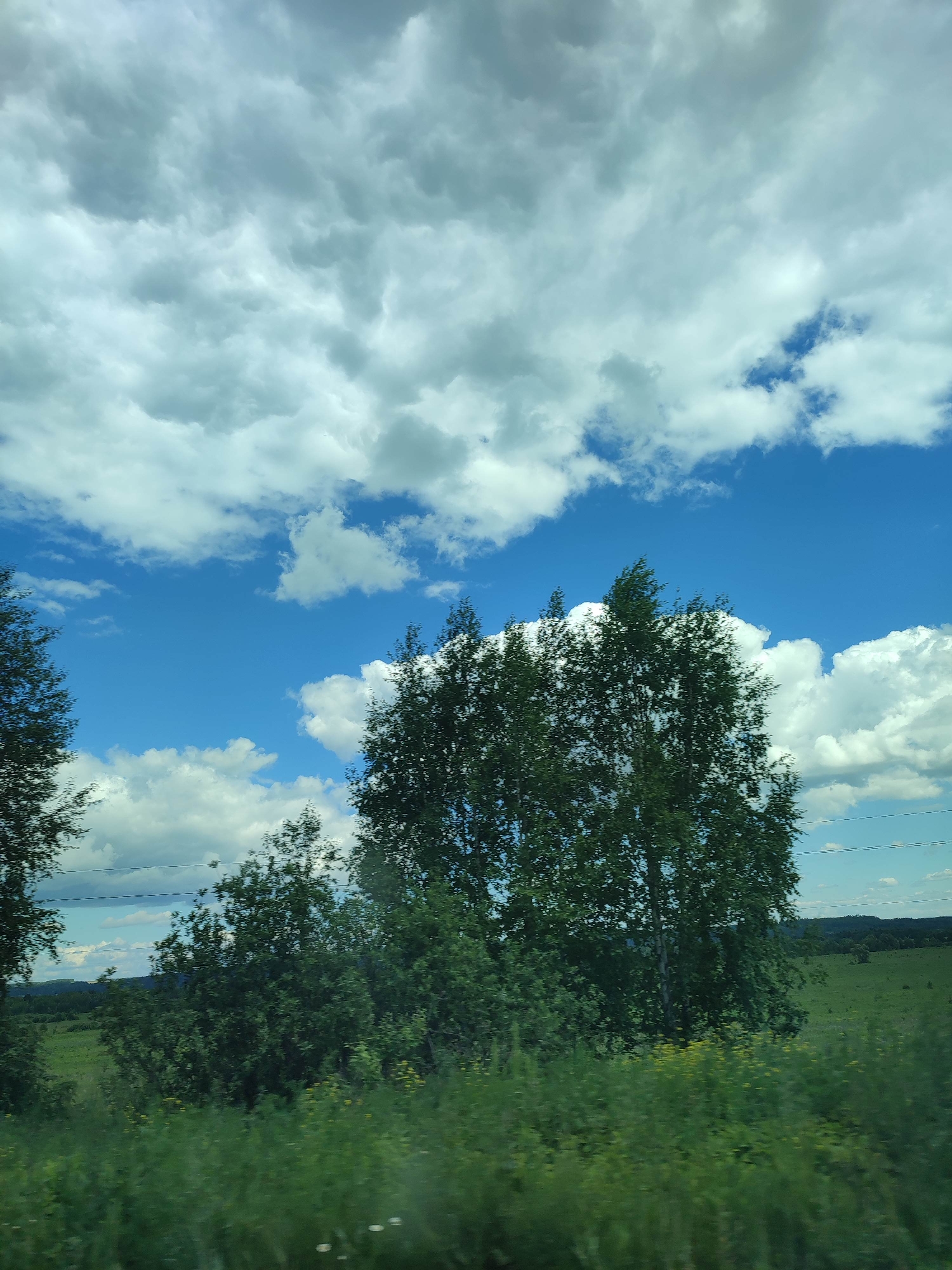 The image captures a scenic view of a landscape under a partly cloudy sky. The primary subjects are lush green trees and a vast expanse of green fields. The sky is a vibrant blue, dotted with fluffy white clouds and some darker, more ominous-looking clouds that suggest a dynamic weather system. The trees are dense and full, with one particularly large tree with a white trunk prominently featured in the mid-right of the frame. In the foreground, there's a blur of green vegetation, indicating movement, possibly from a vehicle. The background reveals rolling hills that fade into the distance, suggesting a rural or countryside setting. There are thin, dark horizontal lines visible across the middle ground, which could be power lines or telephone wires, hinting at civilization within the natural landscape. The overall impression is one of natural beauty and a sense of journeying through the countryside. The time of day appears to be daytime, given the brightness of the sky and the clear visibility. The weather seems to be mixed, with sunshine interspersed with cloud cover. No people or text are visible in the image.