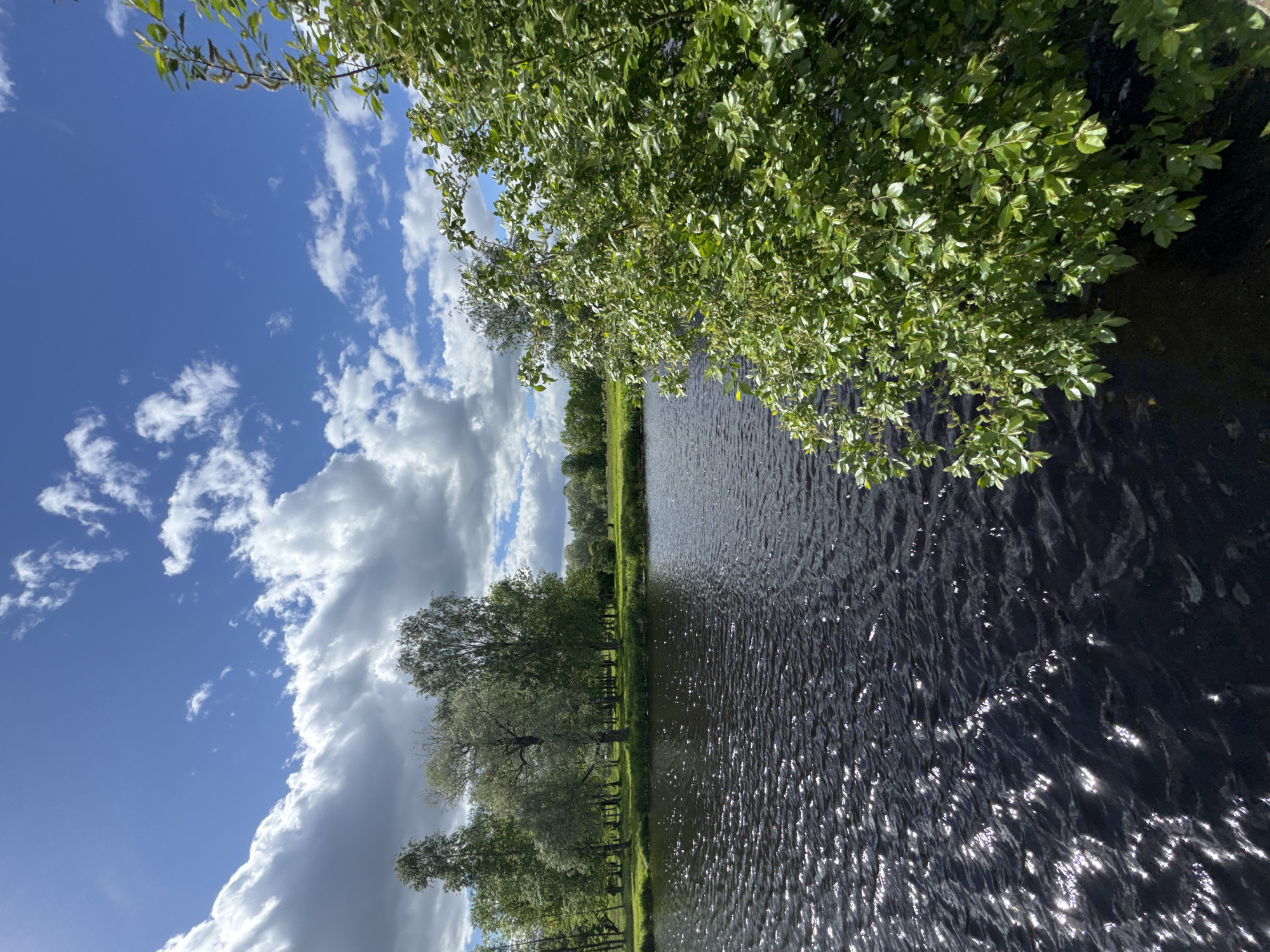 A vertical landscape photograph shows a narrow body of water, likely a canal or river, reflecting sunlight. The sky is visible on the left side, with a mix of blue and white cumulus clouds. Along the left bank of the water, there is a row of trees with green foliage. The right side of the water is lined with more vegetation, including overhanging branches from a tree with abundant green leaves. The water appears dark, with reflective highlights indicating the sun's position. Based on the typical architecture and canals, it could be located in Saint Petersburg, Russia. There are no people visible in the image.