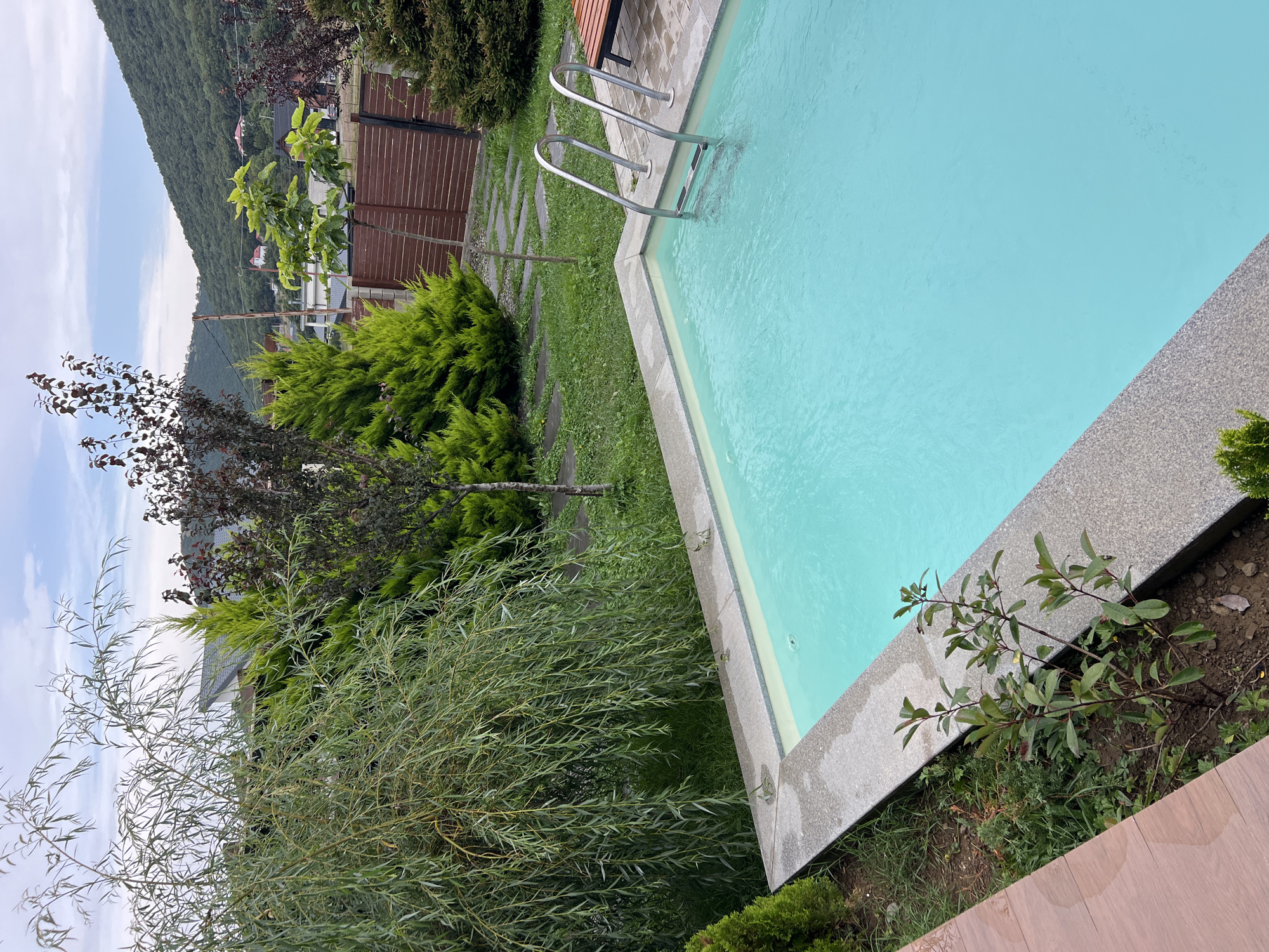 The image shows a swimming pool with turquoise water, a metal ladder, and a portion of a wooden deck. The pool is surrounded by a stone border and a grassy area. Various trees and shrubs are visible in the background, including a large weeping willow tree. Beyond the greenery, there are houses and a hillside covered in trees, suggesting a suburban or semi-rural setting, potentially in Tsodoreti, Georgia. The sky is partly cloudy. There are no people or animals present in the image. The scene appears to be a quiet outdoor area.
