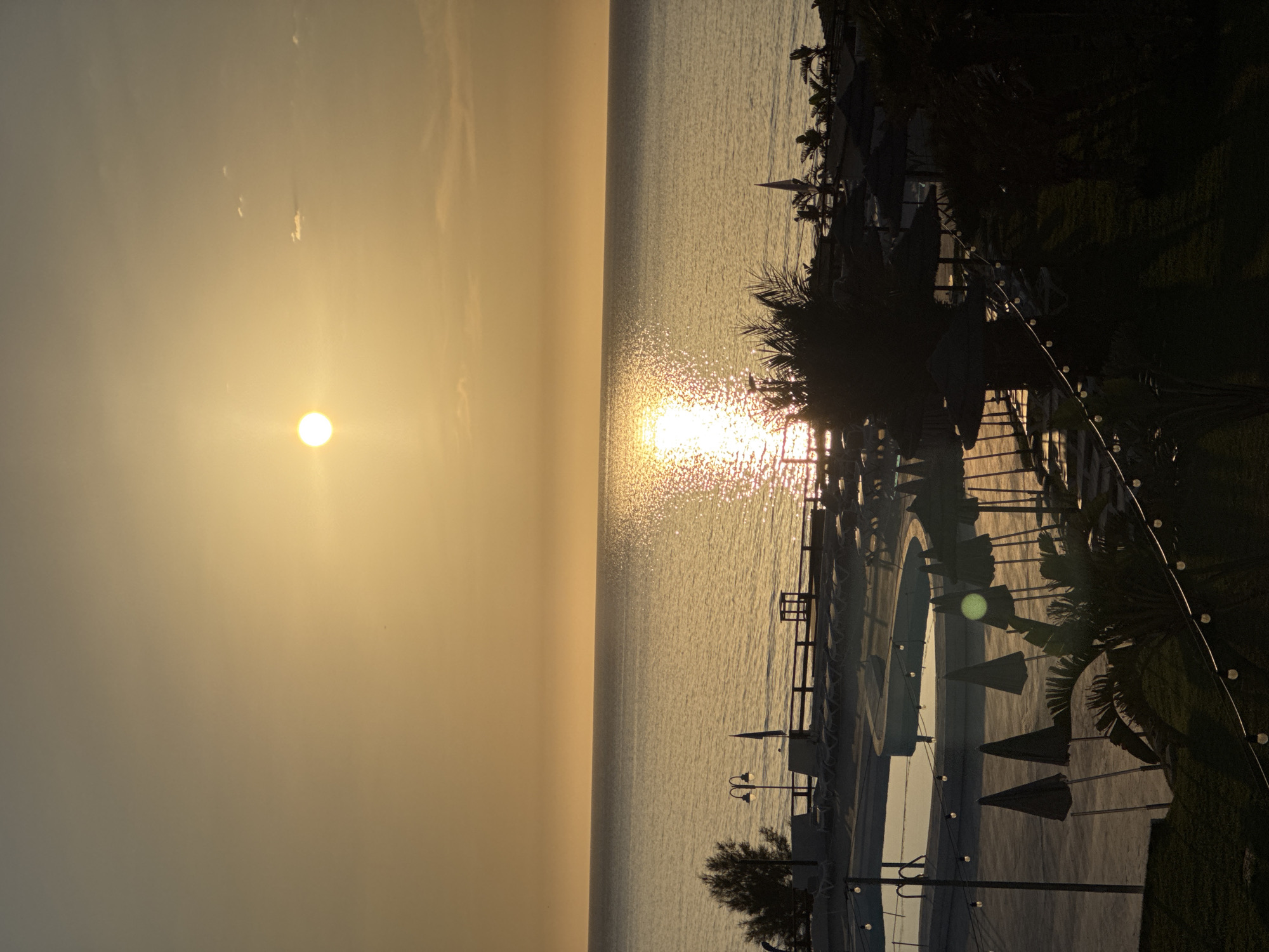 This photograph captures a serene coastal panorama in Isola delle Femmine, Italy, during the golden hour, indicative of either sunrise or sunset. The sun, appearing as a brilliant white disc, is positioned in the upper-left portion of the frame, casting a strong, shimmering reflection that extends across the calm, golden-hued sea. The sky transitions from a bright, warm yellow near the horizon to a slightly muted golden-gray at the top, with minimal, wispy clouds discernible.
The mid-ground reveals an elevated resort area. On the left, a light-colored swimming pool, appearing to be empty or partially filled, is surrounded by numerous lounge chairs. A lamppost with two upward-curving lights stands near a small, dark-foliaged tree. A wooden railing separates the pool area from the sea. To the right, additional lounge chairs are visible alongside various beach umbrellas, some folded, some open, including several with thatched roofs, all rendered as dark silhouettes against the light. Palm trees and other tropical plants form dense, dark masses of foliage across the mid-ground and foreground. The immediate foreground features dark green grassy areas and a string of decorative globe lights hanging diagonally from the lower-left towards the center-right of the image. No individuals are present within the scene.