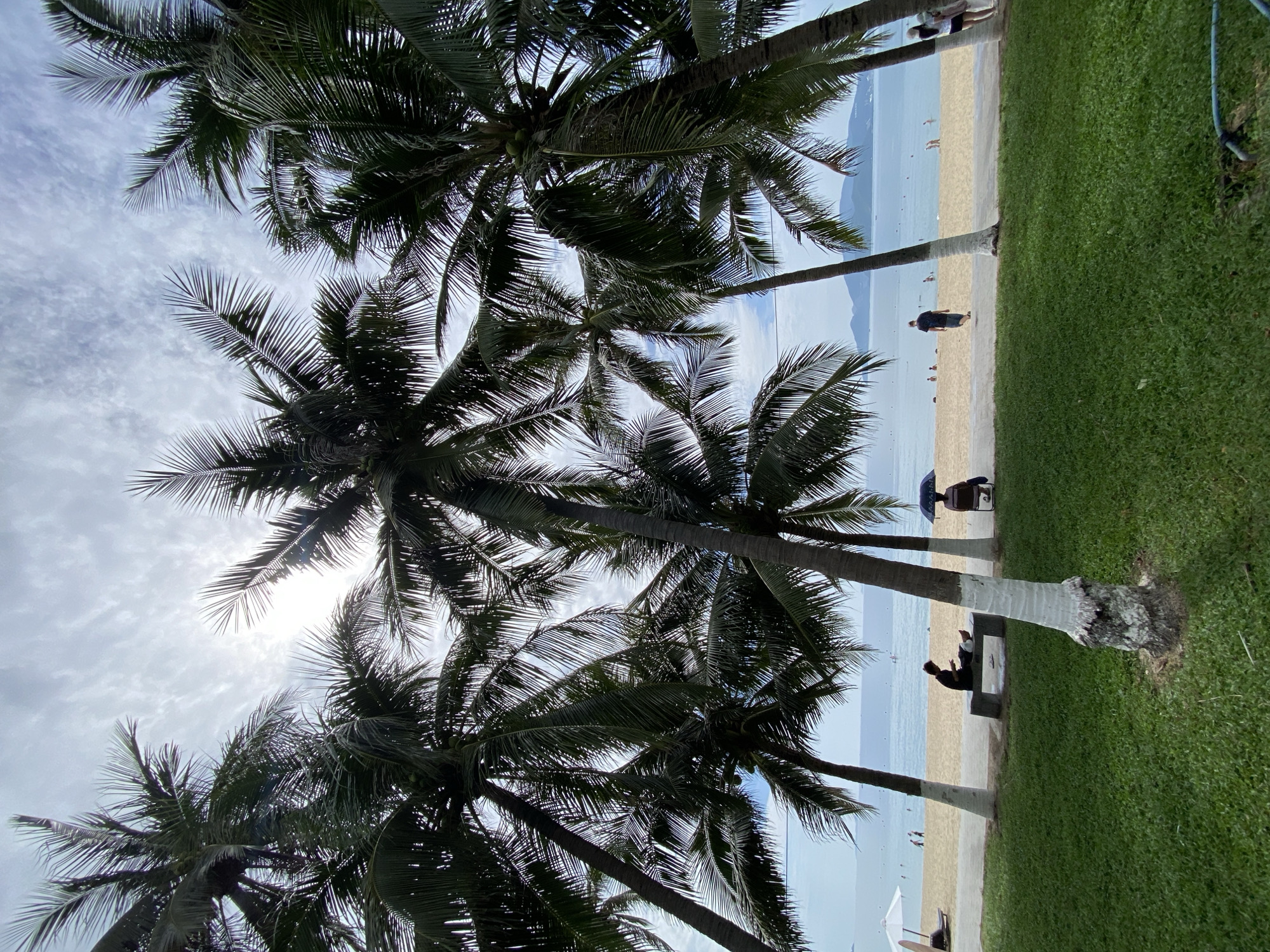 The image depicts a beach scene in Nha Trang, Vietnam, with several palm trees framing the view. In the foreground, a well-maintained green lawn is visible. Beyond the lawn, a sandy beach stretches towards a calm, blue ocean. The water is dotted with a few people, suggesting recreational activity.
Along the edge of the beach, a paved pathway runs parallel to the shoreline. On this pathway, a person is seated on a bench, appearing to be engaged with a device. Further along, another individual is seated under a black umbrella. In the distance, several people are walking and scattered along the beach. The sky is partly cloudy, with patches of sunlight breaking through. The overall atmosphere appears relaxed and leisurely, indicative of a tropical beach resort. The presence of palm trees and the style of beach umbrellas are characteristic of Nha Trang's coastal landscape.