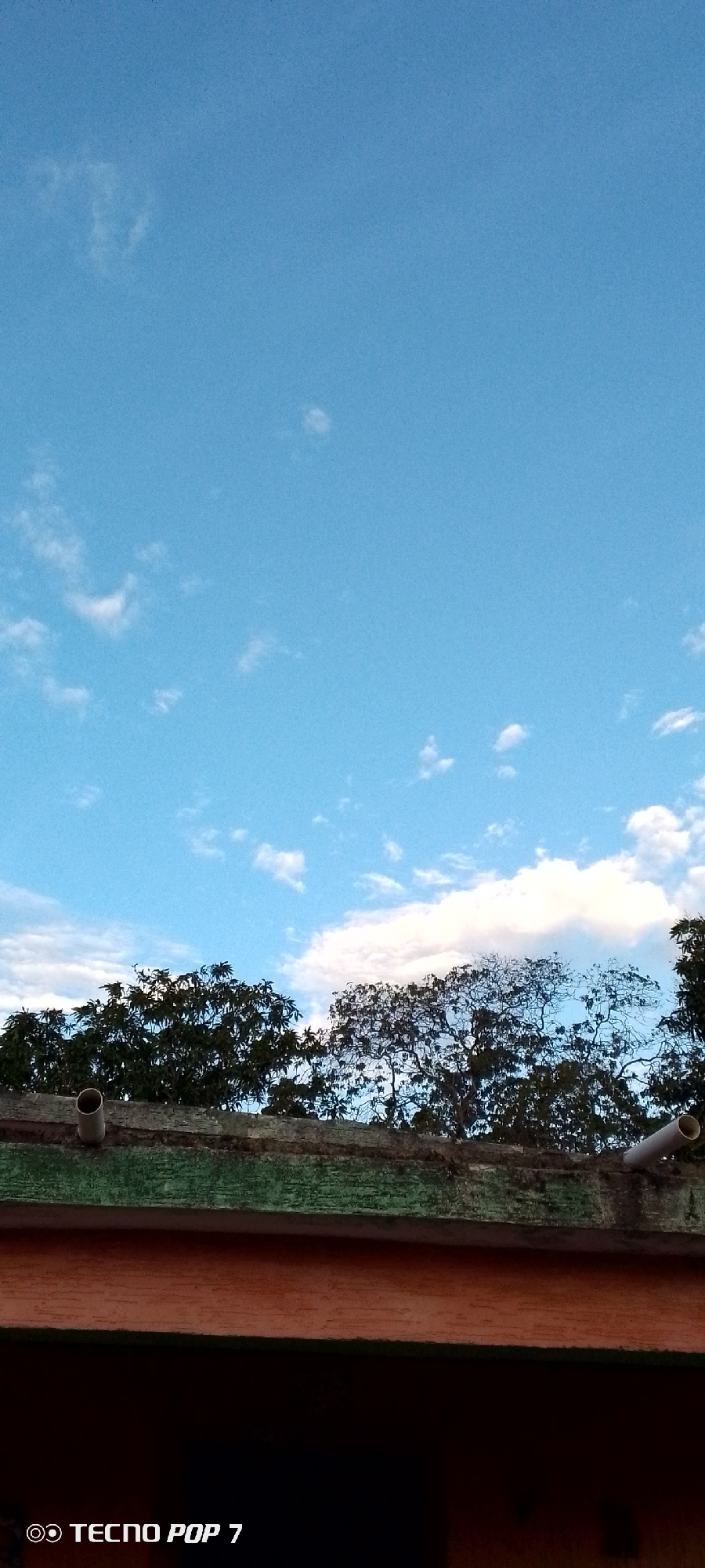 A vertical outdoor image primarily features a clear blue sky, occupying the upper two-thirds of the frame. Scattered across the sky are several small, wispy white clouds. Below the sky, the dark green canopies of several trees are visible, stretching across the middle ground. One tree on the right side appears sparser with more visible branches. Beneath the trees, the top edge of a weathered, low structure or wall runs horizontally. This structure displays textures of green moss and brown concrete, suggesting an old or rustic appearance. Two light grey pipes protrude from this structure: one on the left side and another on the right. The bright natural lighting indicates it is daytime with good weather. There are no people visible, and no specific activity is taking place. In the bottom left corner, the text "◎ TECNO POP 7" is visible, identifying the device used to capture the image. The location context is Altagracia, Venezuela.