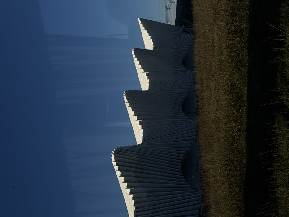 The image displays the Reggio Emilia AV Mediopadana Station in Reggio nell'Emilia, Italy, under a clear blue sky. The station's prominent architectural design features a series of four distinct, light-colored, wave-like segments, each constructed from numerous vertical, angled panels creating a pleated effect. Strong shadows are cast into the inward-facing recesses of these panels, contrasting with the illuminated outer edges. Several arched openings are visible along the base of the structure. The foreground is composed of a field of dry, light brown and green tall grass, with a dark horizontal shadow band spanning the immediate bottom edge of the frame. A small, dark, indistinct object is present in the upper left quadrant of the clear blue sky. Faint vertical reflections are visible across the upper portion of the image, indicating the photograph was captured through a window. Partially visible indistinct industrial or utility structures are present on the far right horizon, behind the station building. No human figures are present.