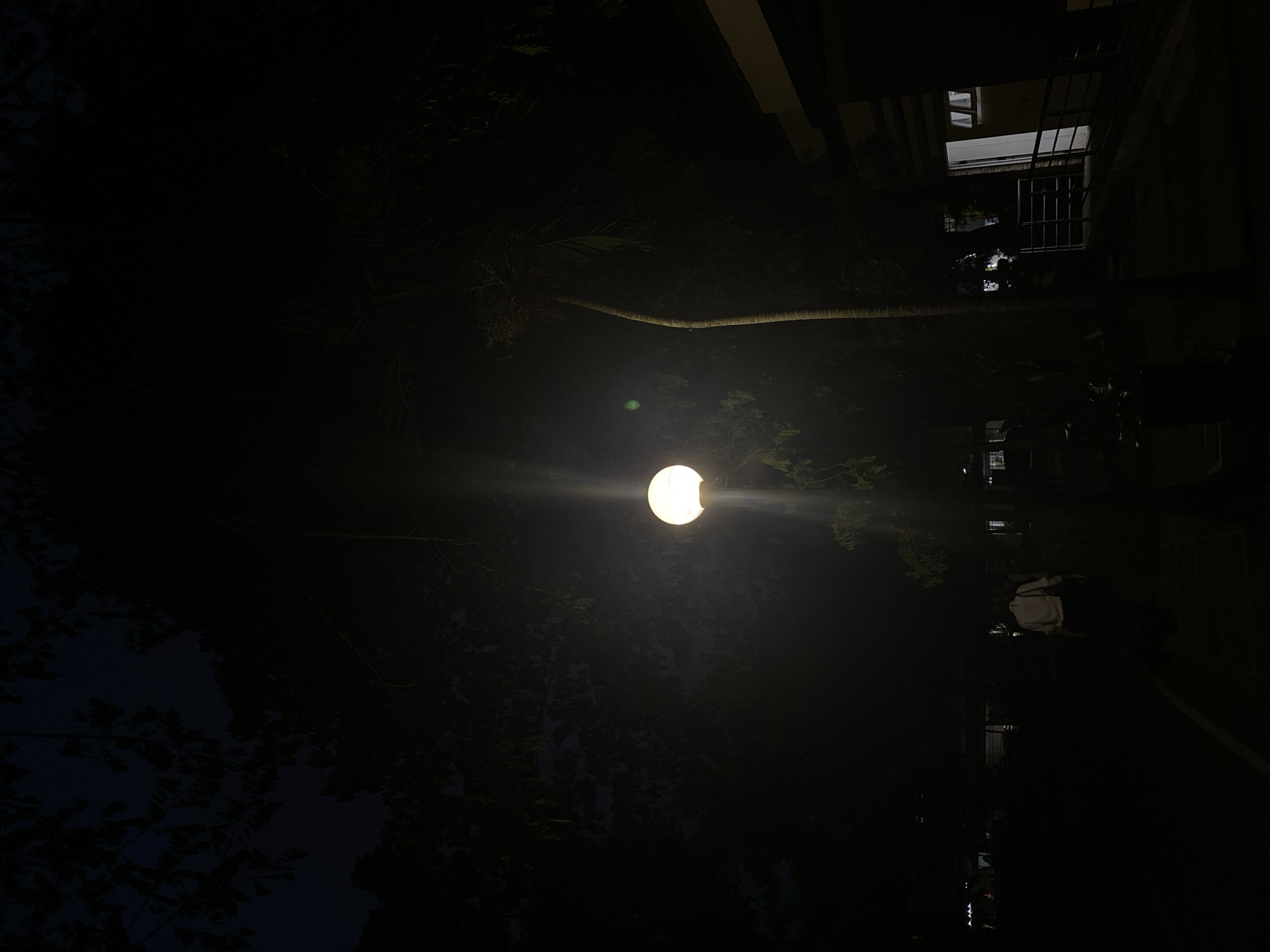 At night in Davao City, Philippines, a single spherical light source illuminates a street with surrounding trees and a building to the right. A palm tree extends horizontally across the frame, slightly above the light. The building features visible windows, and a person is potentially walking on the adjacent street.