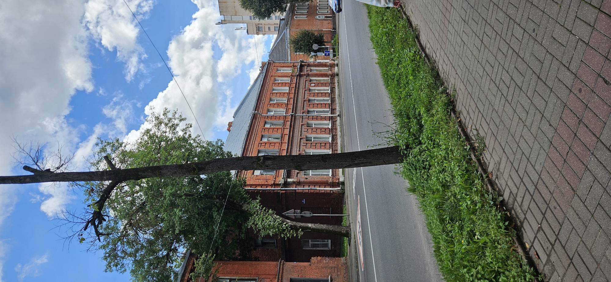 An outdoor, eye-level, vertical, medium shot shows a street scene in Vitsebsk, Belarus. In the foreground, a brick sidewalk is bordered by a strip of green grass and foliage. A dark-barked tree with bare branches stands in the middle ground, slightly to the left of center. To the right, a paved street runs horizontally across the frame, with white lane markings. Beyond the street, a long, multi-story building constructed of red brick with a gray metal roof dominates the background. The building features numerous white-framed windows and architectural detailing. To the right of this building, a second, shorter red brick building is visible, also with white windows. A blue car is seen on the street, moving from right to left. The sky above is blue with scattered white clouds.