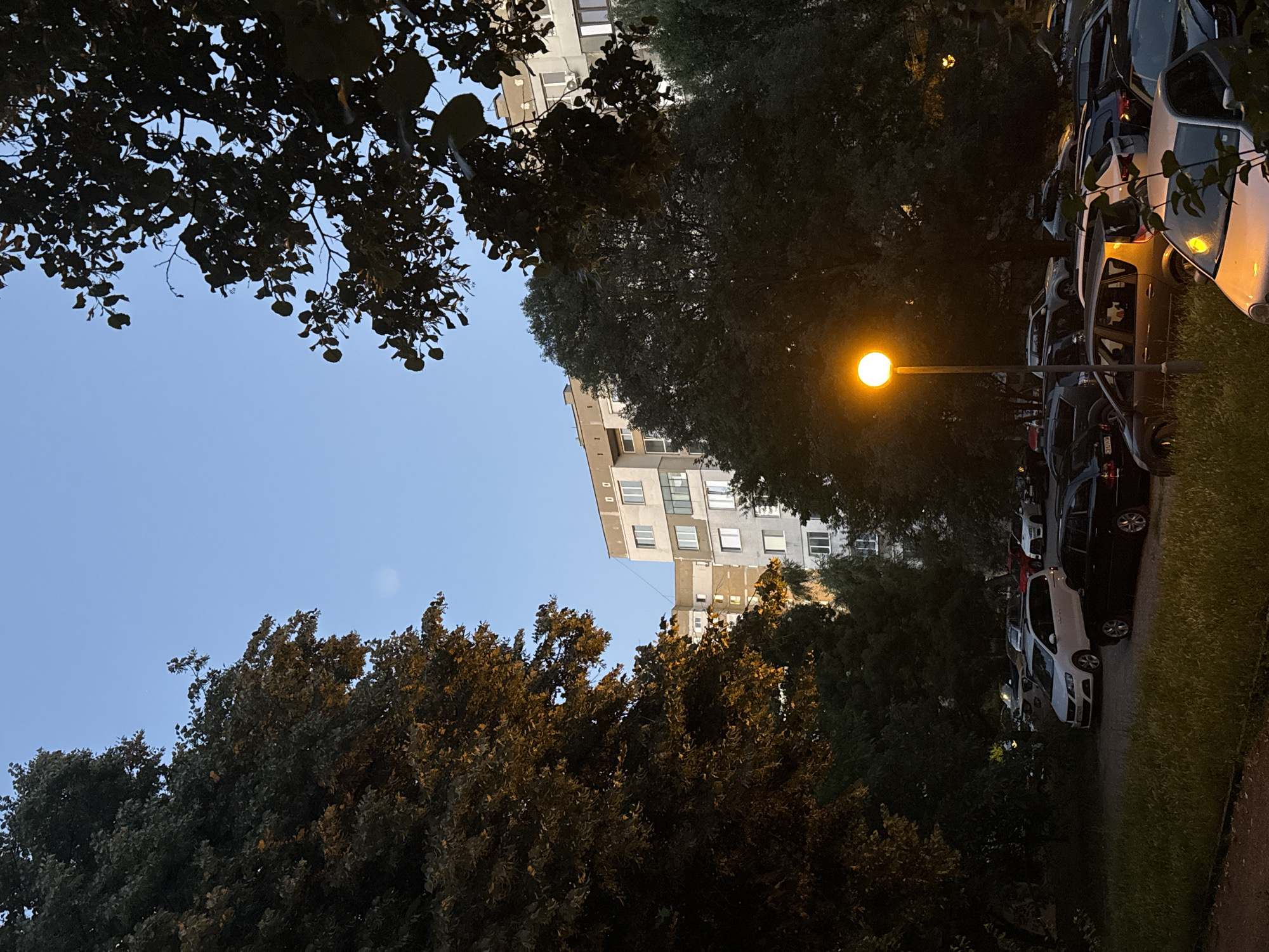 The image captures a parking lot in front of a residential building in Sofia, Bulgaria, at dusk. Tall trees flank the scene, their leaves illuminated by the warm glow of a streetlamp. Several cars are parked, including a white van, a dark-colored sedan, and a silver hatchback. The sky is a clear, pale blue, indicating the transition from day to night. The building itself appears to be an apartment block with multiple windows and balconies. The overall atmosphere is tranquil and residential.