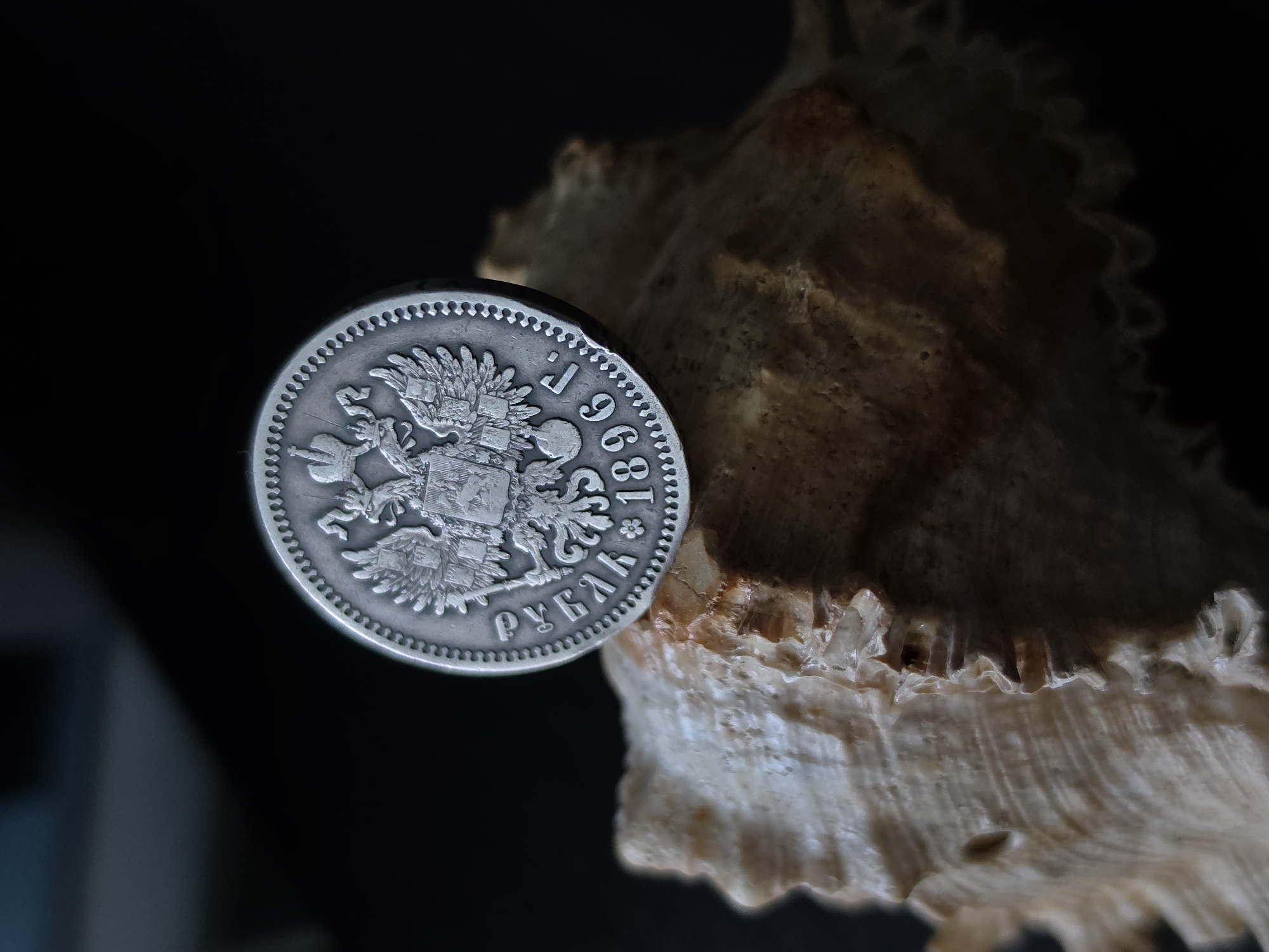 A close-up, high-angle shot shows a silver coin with an embossed double-headed eagle emblem and Cyrillic text, including the year 1896, resting on a textured, light-brown shell. The background is dark and out of focus. The coin and shell are the primary subjects. The scene is static. There is no indication of a specific location in Strelna, Russia, nor any people or actions.