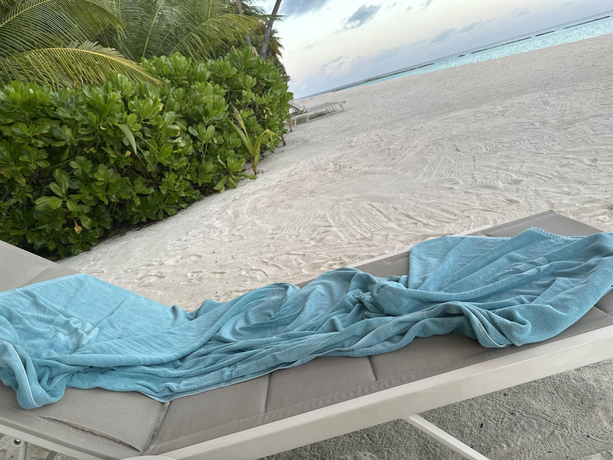 A blue towel is draped over a lounge chair on a sandy beach in Halaveli, Maldives. The lounge chair is a light color with a darker gray fabric. Behind the lounge chair is a lush green hedge with palm fronds visible above it. The beach extends to the right, leading to a calm turquoise ocean under a cloudy sky. In the distance, a line of buoys marks an area in the water, and faint outlines of other lounge chairs are visible on the sand. The sand shows textured patterns, possibly from foot or vehicle tracks. The lighting suggests it is either early morning or late afternoon. There are no people visible in the image.