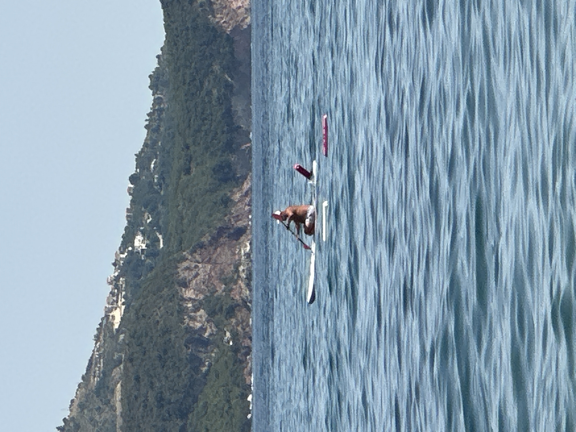 An individual, wearing a red hat and white shorts, is seated on a white stand-up paddleboard in the Adriatic Sea, near Boreti, Montenegro. The person is holding a paddle, angled downwards into the water, and appears to be moving forward. To the right of the paddleboard, another red object, possibly a fin or another piece of equipment, is visible. Further to the right, a long, flat, pink object floats on the water's surface. The water is a deep blue with gentle ripples. In the background, a lush green, tree-covered hillside rises steeply from the coastline. Several white buildings are scattered across the hillside, and the sky above is a clear, pale blue.