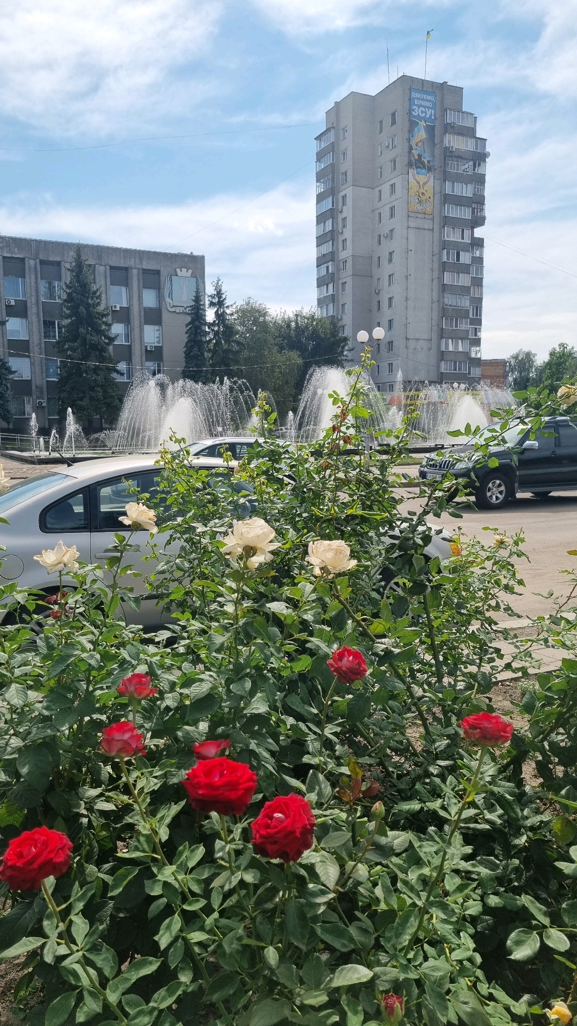 The image captures a view in the city of Smila, Ukraine, focusing on a section of a public square or park area. In the foreground, a dense bed of red and white roses is in bloom, with several roses in sharp focus. Behind the flowers, a silver sedan and a dark-colored SUV are parked. Beyond the vehicles, a large, multi-tiered fountain is active, with water spraying upwards in arcs. In the background, two prominent buildings are visible. The building on the left is a grey, multi-story structure with numerous windows, featuring an emblem on its facade. To the right, a taller, narrower grey building stands, displaying a large banner with Ukrainian text and an image. The sky above is partly cloudy. The scene appears to be set during daylight hours.