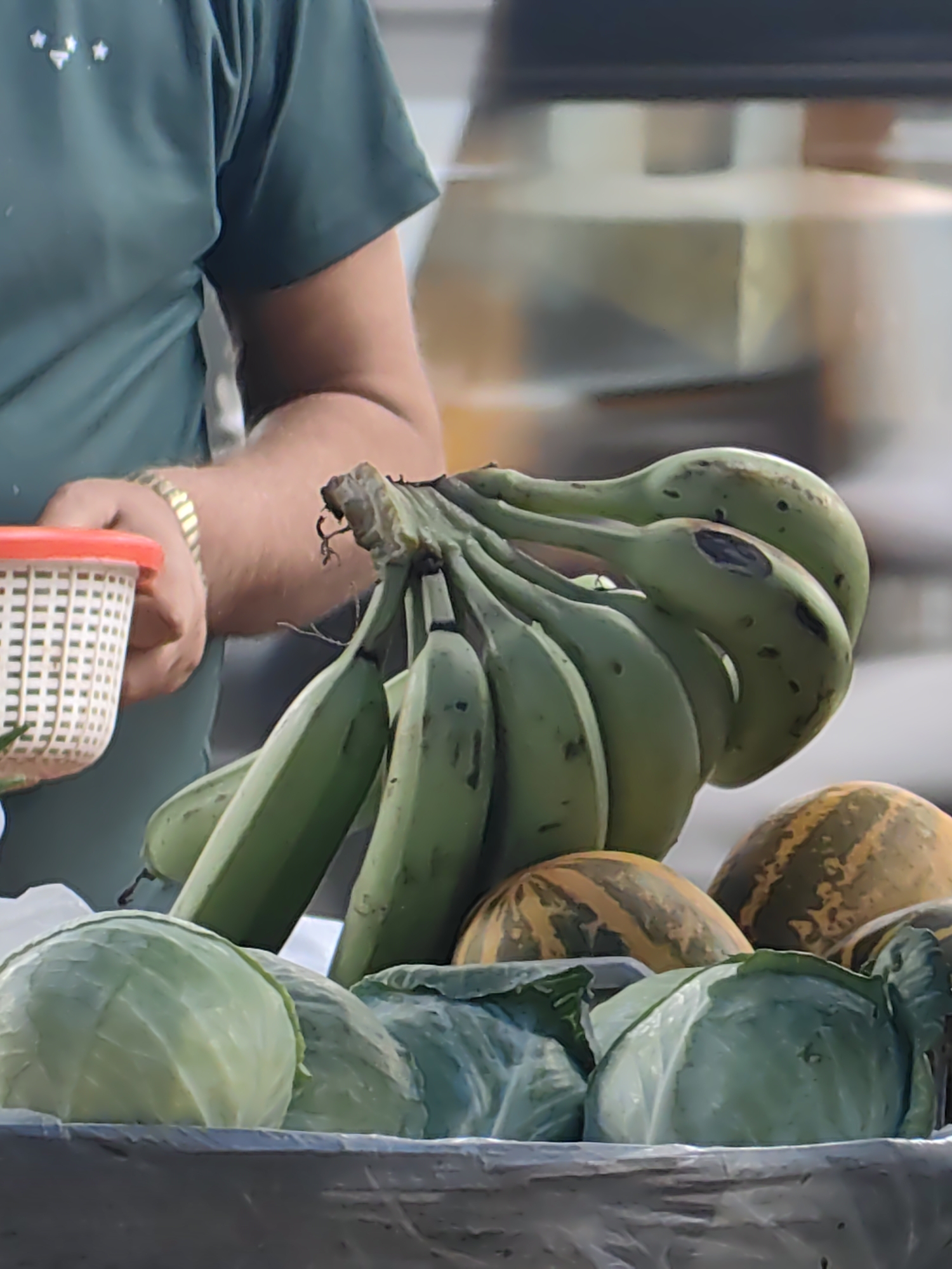 The image depicts a close-up view of a market stall, likely in Mira Bhayandar, India, focusing on fresh produce. In the foreground, several heads of cabbage are arranged in a grey container, some appearing more weathered than others. Behind the cabbage, two partially visible melons with yellow and green stripes are nestled. A bunch of green bananas hangs prominently, with some showing dark spots. To the left, a hand wearing a gold bracelet is holding a small white basket with a red lid. The hand is positioned next to the bananas, suggesting an interaction with the produce. The person holding the basket is wearing a dark green t-shirt adorned with small white stars. The background is blurred, hinting at a busy outdoor market environment with indistinct structures and possibly other stalls or vehicles.