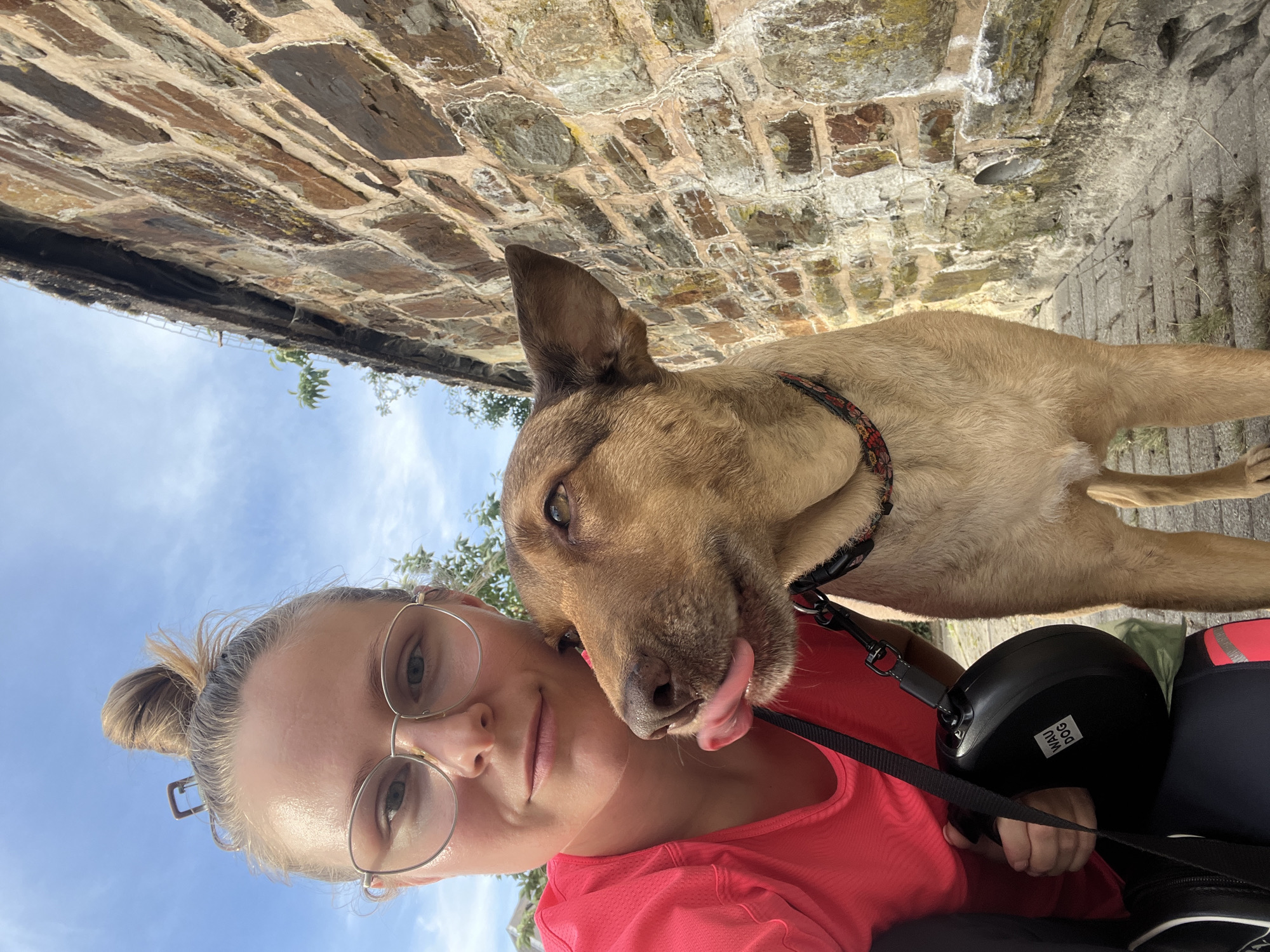 A woman wearing glasses and a pink shirt takes a selfie with a light brown dog. The dog is licking the woman's face. They are standing next to a stone wall. The woman is holding a black retractable leash that reads "WAU DOG". The background includes a blue sky with some clouds. The setting appears to be outdoors, possibly in the city of Saint Vith, Belgium, given the architectural style of the stone wall.