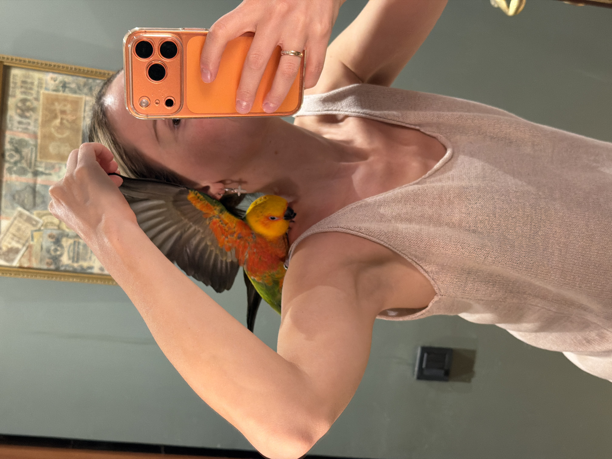 A light-skinned individual, appearing female, is captured in a mirror selfie in an indoor location in Unknown, Unknown. She wears a light beige sleeveless knit top with a scoop neck. A vibrant Sun Conure parrot, characterized by its yellow head, orange-red chest, and green wings, is perched on her right shoulder with its wings partially outstretched upwards. The individual's left hand holds a bright orange smartphone with a clear protective case, obscuring most of her face except for her right eye and forehead. She wears a small silver cross earring in her left ear and two rings on her left ring finger: one plain gold band and one thin band set with small stones. Her right hand is raised near her head, partially concealed behind the parrot's wing. The background consists of a muted olive-green wall. A large, ornate gold-framed picture hangs on the wall, displaying what appears to be a collage of old documents, currency, or historical prints. A dark square wall fixture is visible to the left, and a golden fixture is partially visible in the lower right. The scene is brightly illuminated.
