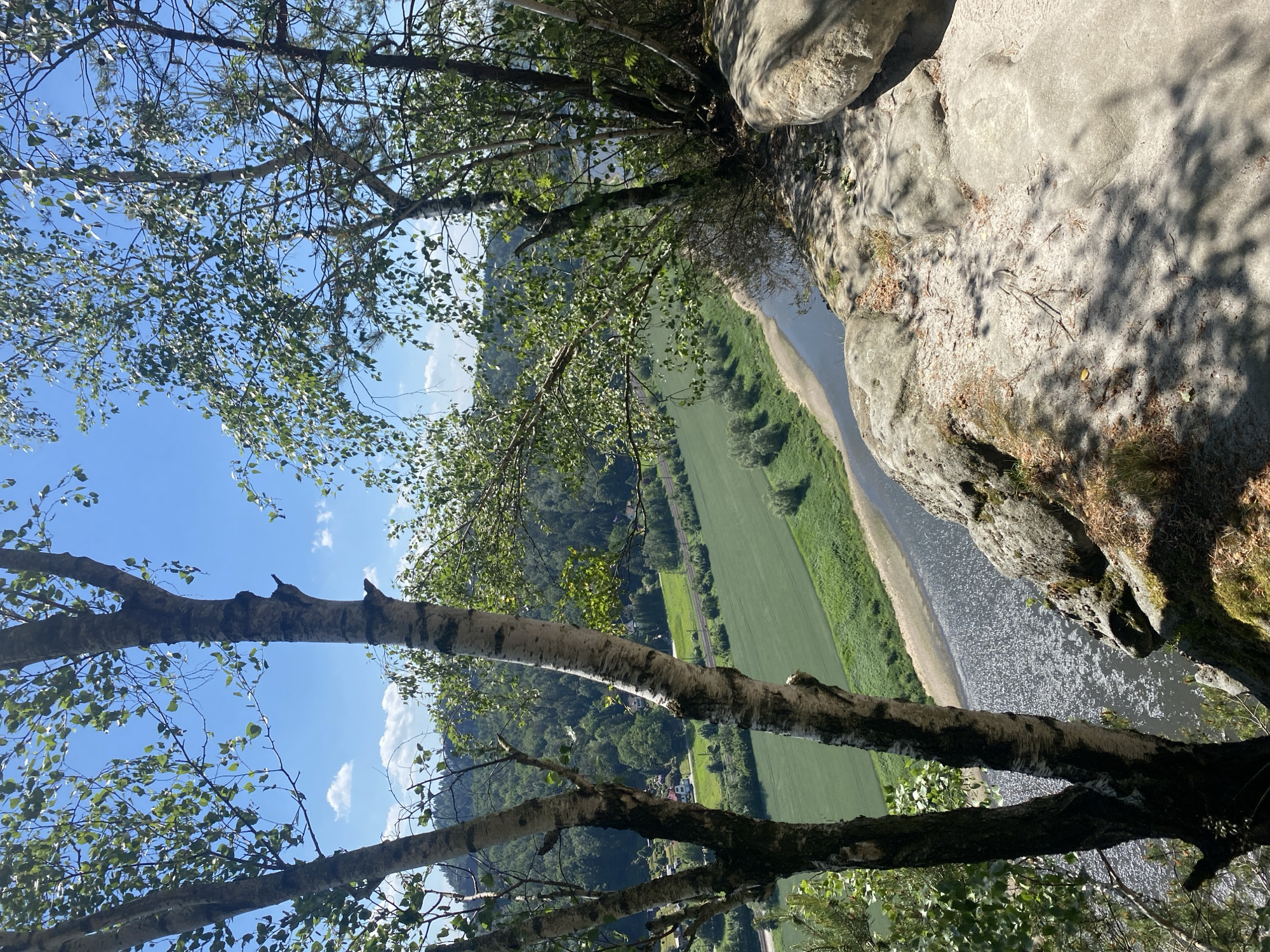 The image shows a view from a high vantage point in Lohmen, Germany, overlooking a river and a green valley. The foreground includes a rocky ledge and birch trees with leaves. A river winds through the valley, and a sandy bank edges the water. Beyond the river, there is a green field and patches of trees, interspersed with some buildings. The sky is blue with scattered clouds. A railway tracks the edge of the field.