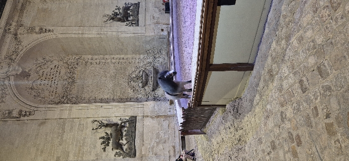 The image displays an interior or covered exterior architectural space, likely part of an old building, courtyard, or museum, illuminated by artificial lighting that casts a soft, somewhat dramatic glow.
On the left side of the frame, there is a tall, ornate stone wall or facade, predominantly light beige or gray in color. This wall is extensively decorated with relief carvings. Towards the top and bottom sections, there are two distinct rectangular panels, each featuring a detailed depiction of a stag or deer in a natural setting with trees and foliage. In the central area of this ornate wall, a large, arched relief carving is prominent. This arch encapsulates a rich, flowing design of floral motifs and swirling patterns. Within this elaborate framework, there is a central cartouche or oval shape containing what appears to be old, intricate script or symbols, though the specific text is not clearly legible. The entire wall shows signs of age and wear.
A medium-sized animal, resembling a donkey or a small horse, stands on a raised wooden platform in the center-right of the image. The animal has a grayish-brown coat, with a darker mane and tail, and is facing towards the left side of the frame. The platform it stands on has a visible wooden railing or edge facing the viewer. The surface of this platform appears to have a light, somewhat reflective finish, with hints of a purple hue, possibly due to the ambient lighting.
To the right of the platform and extending into the foreground is another stone wall, distinct from the ornate one. This wall is constructed from irregularly shaped, roughly hewn stone blocks, giving it a rugged, ancient, or rustic appearance. The texture of this stone wall is visible, with varying shades of gray and brown.
In the lower left background, near the bottom deer carving, faint and blurred figures of people can be seen, suggesting an audience or visitors observing the scene. The overall ambiance is one of historical significance, potentially an exhibit or a maintained historical site, with the animal possibly being part of a display or a resident. The lighting suggests an indoor setting or a period after sunset.