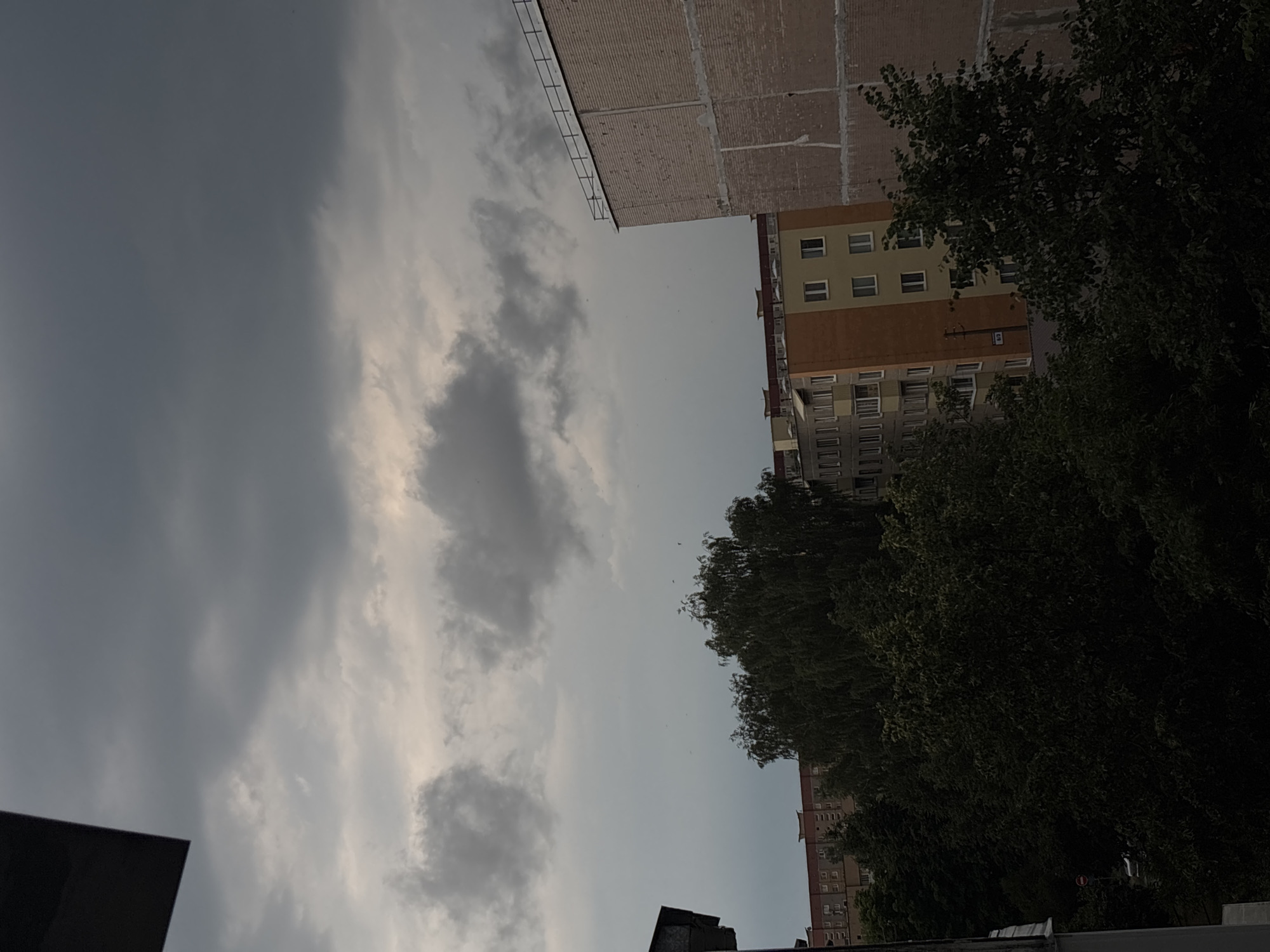 The image captures a view of a city street in Lida, Belarus, under a cloudy sky. In the foreground, dark foliage obscures much of the lower part of the scene, with glimpses of trees and a hint of a traffic sign with a red circle.
Dominating the mid-ground are several apartment buildings. To the left, a multi-story building with a light facade and visible windows is partially obscured by trees. Adjacent to it, a narrower building features an orange facade with light-colored window frames and balconies. Further to the right, a taller, unfinished brick building rises, its top edge marked by a black railing. The sky above is filled with heavy, dark gray clouds, creating a somber atmosphere. Small, dark specks, possibly birds, are scattered across the sky. The overall impression is a somewhat overcast day in an urban setting.