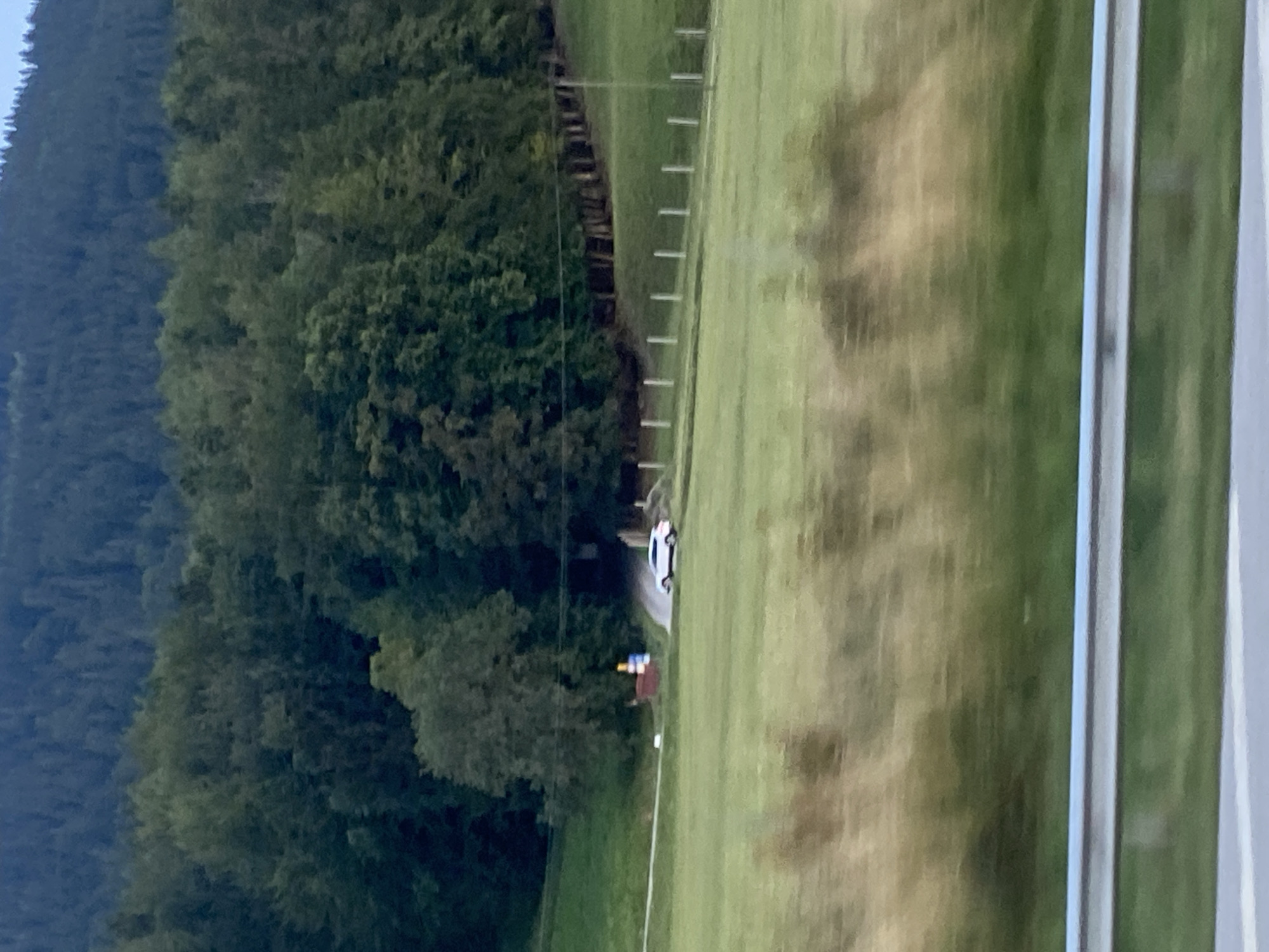 In Teisendorf, Germany, a white SUV is parked on a winding road that leads into a dense forest. The car is facing left and is visible from its side. The road is paved and curves around a large, brown, rectangular object that appears to be a structure or a large sign. Adjacent to this object is a red and blue sign. The road is bordered by a grassy embankment on the left and a line of white posts on the right, which transition into a fence. The environment is characterized by rolling green fields and a backdrop of a vast, dark green forest that extends up a mountainside. The sky is not clearly visible due to the dense foliage. The foreground shows a blurry green field and a metal guardrail, suggesting the image was taken from a moving vehicle.