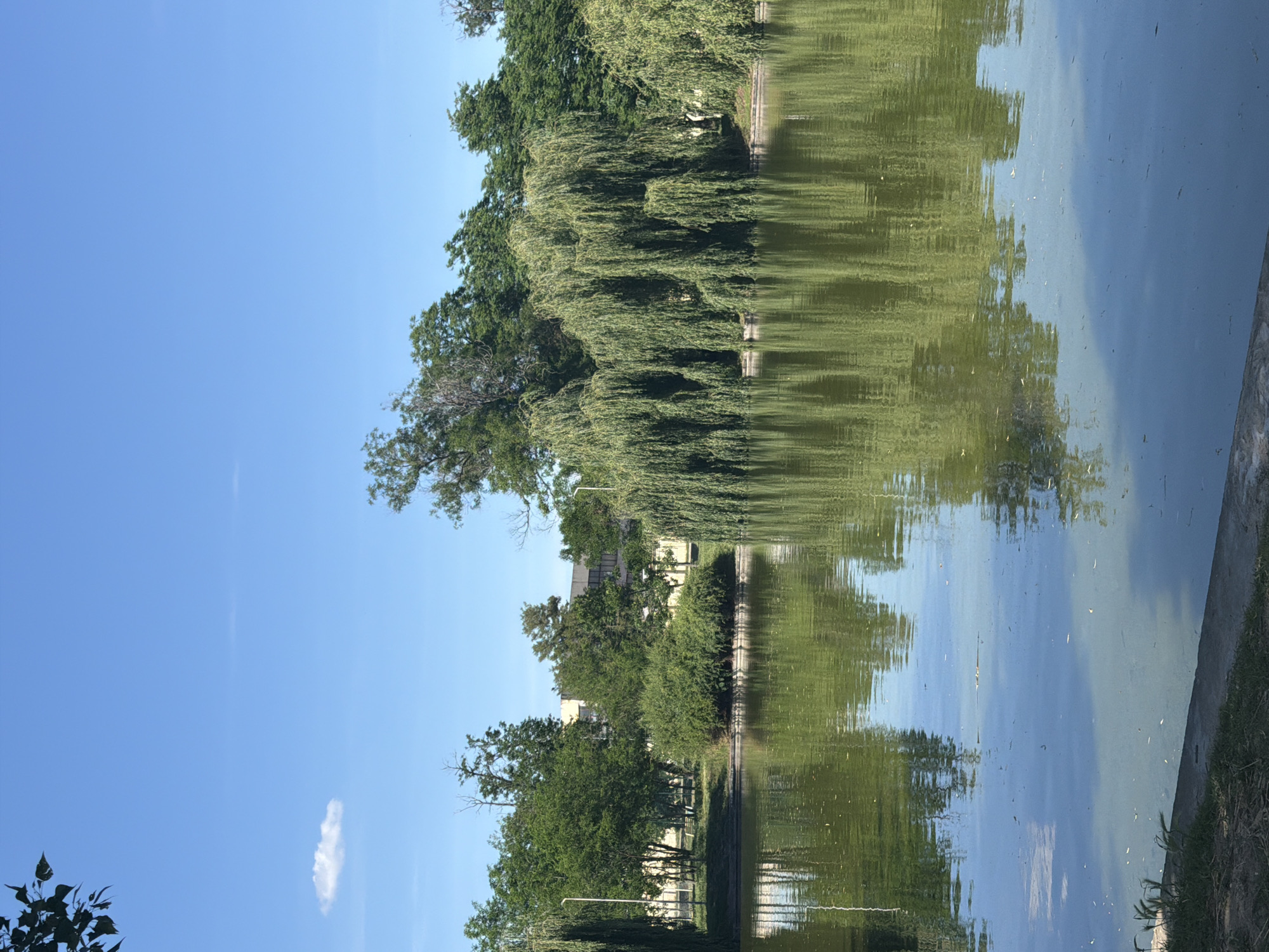 The image depicts a body of water, likely a lake or pond, reflecting the sky and surrounding trees. The water's surface is slightly disturbed, causing a rippled reflection of the sky and trees on the opposite bank. The sky is clear and blue with a few small clouds. The trees include deciduous species with green foliage. In the background, a building is visible, partially obscured by the trees. The photograph appears to be taken in a park-like setting, possibly within a city due to the presence of the building. No people are visible. The location is provided as Unknown, Unknown.