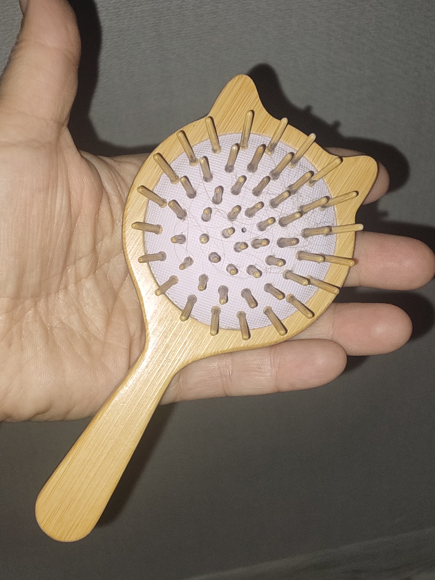 A person's hand is holding a wooden hairbrush with a cat-shaped head. The brush has light pink bristles and several strands of hair are visible on them. The hand is illuminated from the side, creating a shadow on the dark grey background. The image was taken indoors, likely in a residential setting. There is no information available to determine the location in the city of Drochia, Moldova.