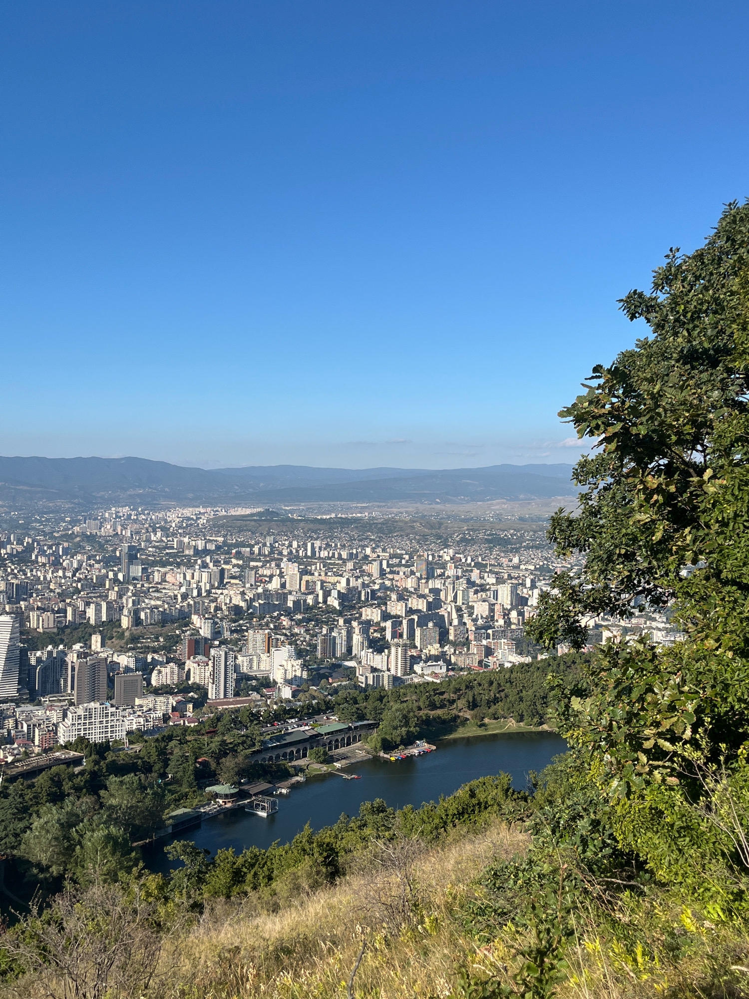 The image captures a panoramic view of Tbilisi, Georgia, from a high vantage point, likely Mount Mtatsminda. The scene is dominated by a vast urban landscape filled with numerous buildings of varying heights and architectural styles, predominantly concrete structures. In the foreground, a steep, grassy slope dotted with dry grasses and scattered green bushes leads the eye downwards.
To the left of the frame, a section of a large, leafy green tree is visible, its branches extending towards the right side of the image. Below the city, a dark blue body of water, possibly a lake or a section of the Mtkvari River, is present. Along the edge of the water, there is a complex of buildings with arched facades, suggestive of a historical or recreational area. Boats are docked in the water. A bridge, appearing to be part of a road system, spans over a section of the waterway.
The city itself stretches as far as the eye can see, with a dense concentration of residential and commercial buildings. In the background, a range of soft, hazy mountains forms the horizon under a clear, bright blue sky. The overall impression is a sunny day with good visibility, showcasing the sprawling metropolis against a natural mountainous backdrop. No people are discernible in the image.