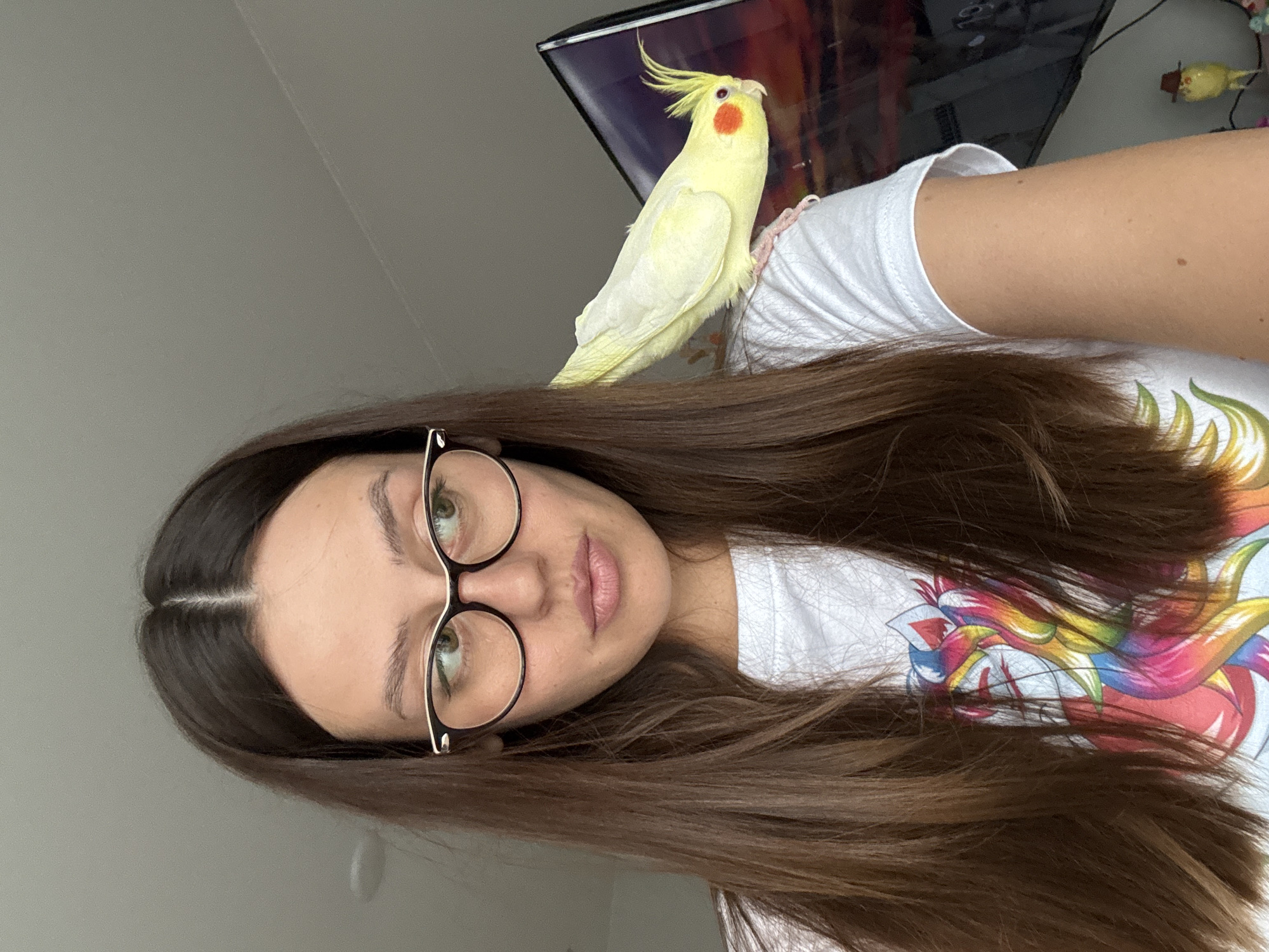 In Krasnoyarsk, Russia, a young woman with long, dark brown hair and glasses is captured from the chest up. She is wearing a white t-shirt adorned with a colorful, stylized image. A light yellow cockatiel is perched on her left shoulder, facing away from the camera, with its crest slightly raised and orange cheek patches visible. Behind her, a television screen displays a dark image with a sunset or dramatic sky. The background consists of a plain, neutral-colored wall, suggesting an indoor setting. The lighting appears natural, coming from the side.