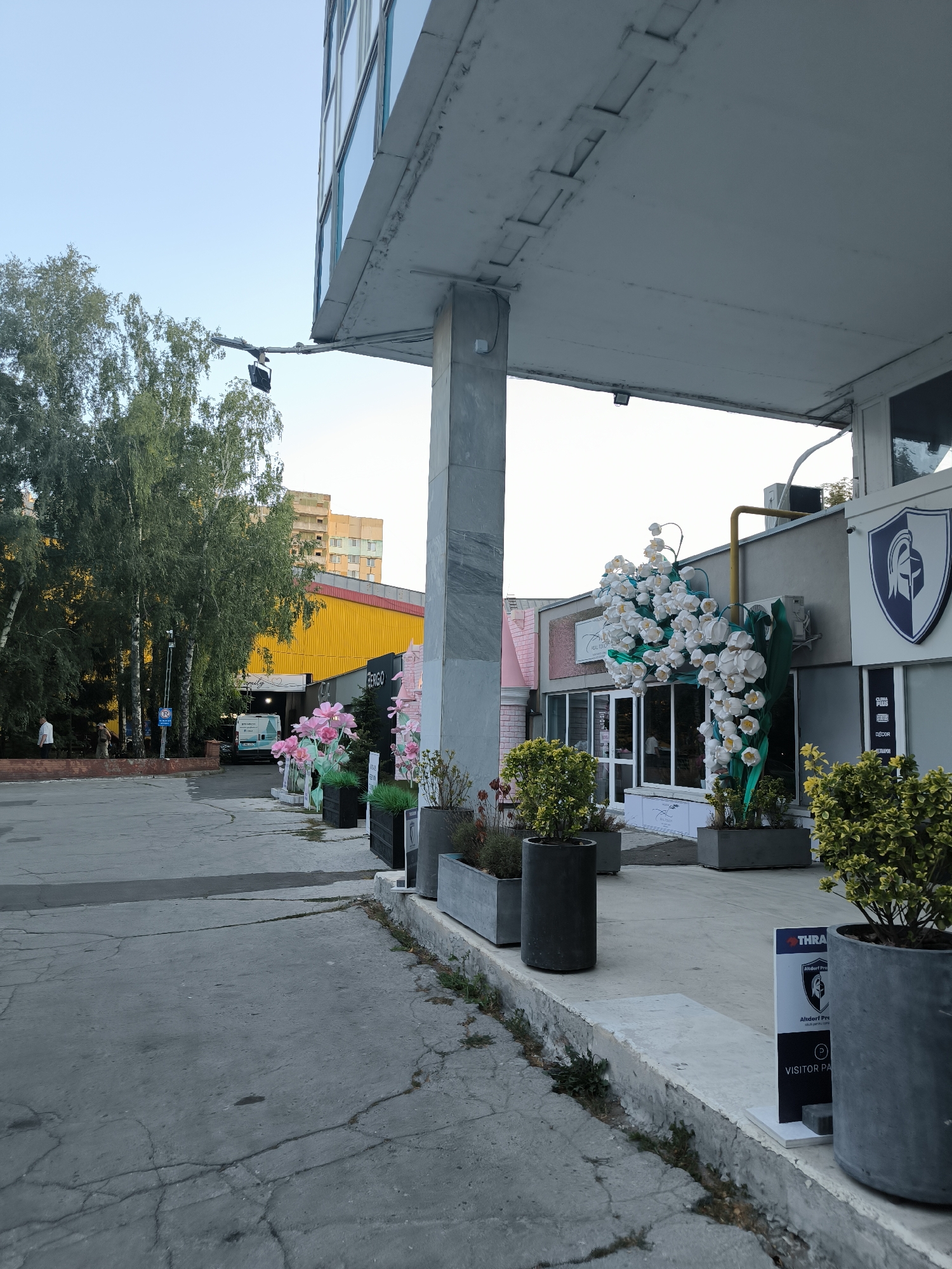 The image depicts an outdoor scene in Chișinău, Moldova, likely in front of a commercial establishment. In the foreground, cracked concrete paving is visible, with several large planters containing green shrubs. To the right, a sign for "THRA" and "Aldorf Pre" with a stylized shield emblem and a parking symbol is placed on a white base. A large concrete pillar supports an overhang extending from a modern building with blue-tinted windows.
Further back, a pathway leads to a row of storefronts. A large, white, artificial floral display resembling lily of the valley hangs from the building's exterior. Pink, artificial flowers are arranged in planters along the path. A white van is parked near one of the entrances. In the background, several mature trees with light green foliage line the area, and a multi-story building with a yellow facade and a partially constructed structure are visible. The sky is clear and pale blue. Two individuals are seen walking in the distance, near the trees and the yellow building. The overall atmosphere suggests a commercial or recreational area.