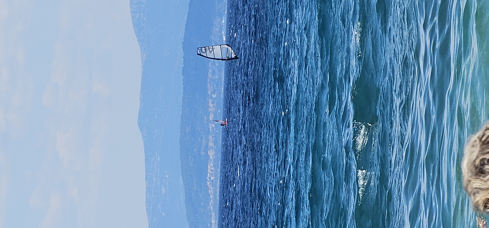 This image depicts a serene coastal scene in Grad Supetar, Croatia. The foreground is dominated by the deep blue, choppy waters of the Adriatic Sea, with small waves and whitecaps indicating a breezy day. In the mid-ground, two individuals are windsurfing. The windsurfer on the right is closer to the viewer and features a prominent white sail with black trim. The windsurfer on the left is further in the distance, appearing as a smaller figure against the backdrop of the sea. Beyond the water, a range of rolling hills and mountains, layered in hazy shades of blue and green, form the distant landscape. The sky above is a pale blue, dotted with sparse, wispy white clouds. The bottom edge of the image shows a blurred portion of what appears to be a light-colored, furry animal's head submerged in the water, suggesting it is close to the shore or a pier.