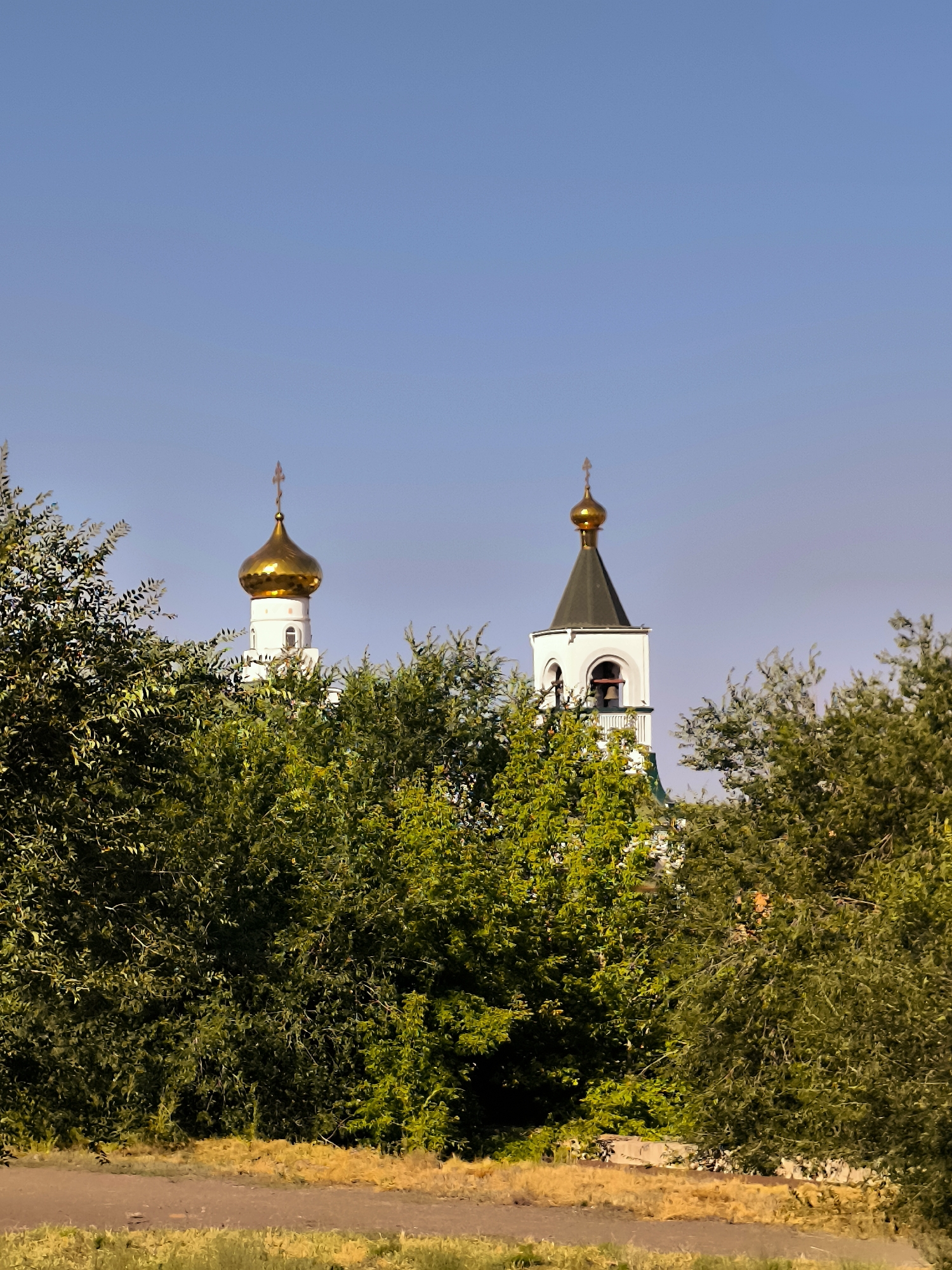 An outdoor vertical, eye-level shot shows two white church towers with golden domes visible above a dense green foliage of trees. The sky is a clear, light blue. The tower on the left has a rounded dome with a cross on top. The tower on the right has a conical, dark gray roof topped with a golden dome and cross. It also has open arches with bells visible. A road is visible in the foreground, with dry yellow grass and a few small stones.