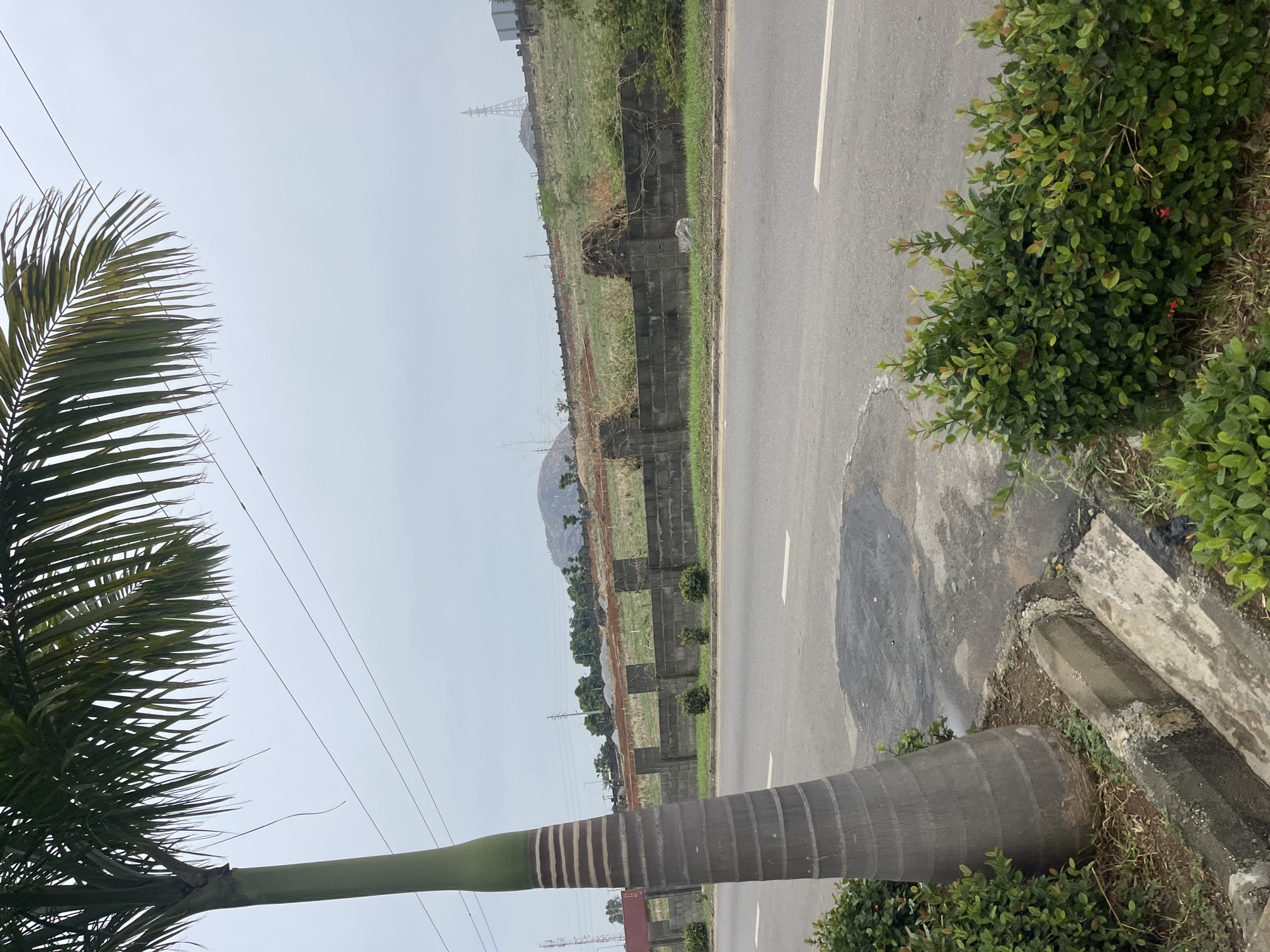 The image depicts a landscape in Gosa, Nigeria, featuring a palm tree dominating the left side of the frame. Its fronds and trunk extend into the foreground. A paved road with a white line marking divides the scene diagonally. To the right of the road, dense green bushes are visible, with a concrete curb bordering the road's edge.
Beyond the road and bushes, the terrain slopes upwards, revealing a fenced-off area with concrete block construction along the road's edge. In the distance, a hazy hill or small mountain is visible under a pale sky. Power lines are strung across the sky, and in the far background, a transmission tower stands on the elevated land.