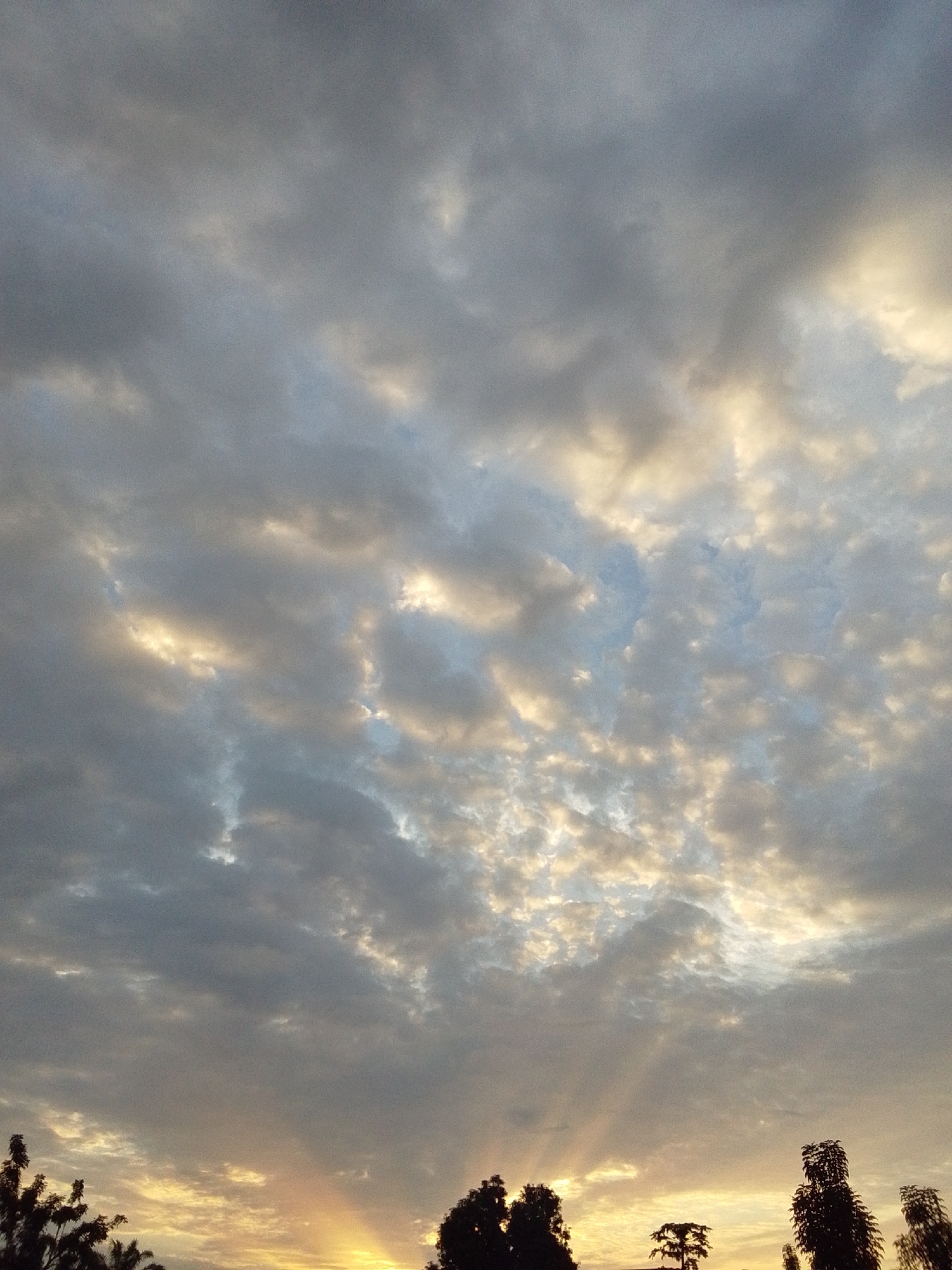 The image shows a view of the sky with dramatic clouds over Serti, Nigeria. The sun is setting or rising, casting a warm glow and rays of light through breaks in the clouds. Silhouetted trees frame the bottom of the image, with some of their branches visible against the bright sky. The clouds themselves are a mix of dark, moody grays and lighter, illuminated whites and yellows, creating a textured and dynamic sky. The scene appears to be an outdoor, natural environment, with no people or man-made structures prominently featured.