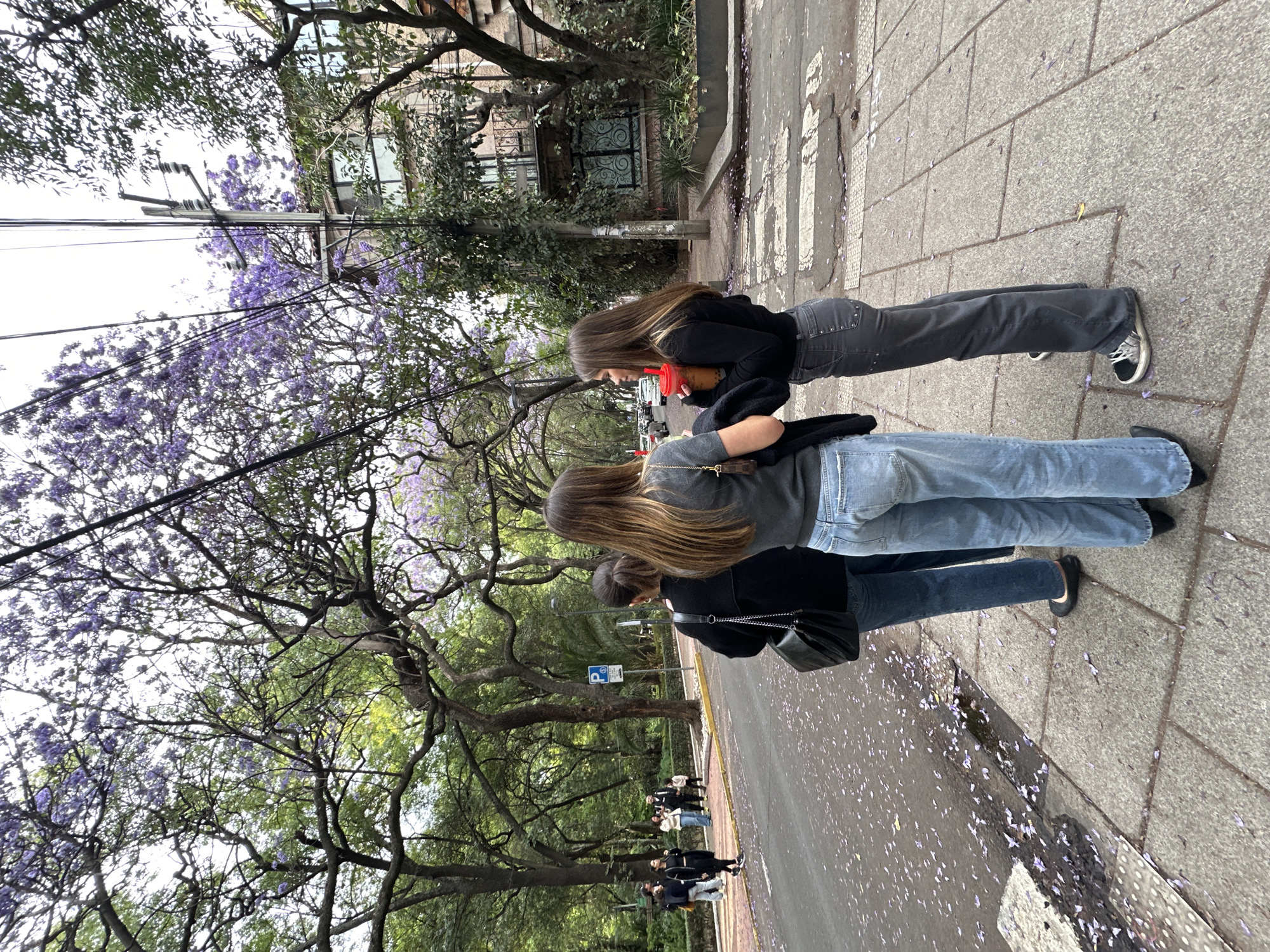 Two young women walk side-by-side on a stone sidewalk in an urban environment, presumably in Unknown, Unknown. The woman in front wears a gray shirt and blue jeans, while the other wears a black jacket, dark gray pants, and black-and-white shoes. They are passing under trees with purple flowers, some of which have fallen onto the sidewalk and street. Other people can be seen walking further down the street in the same direction. A building with a dark wrought iron gate is visible in the background.
