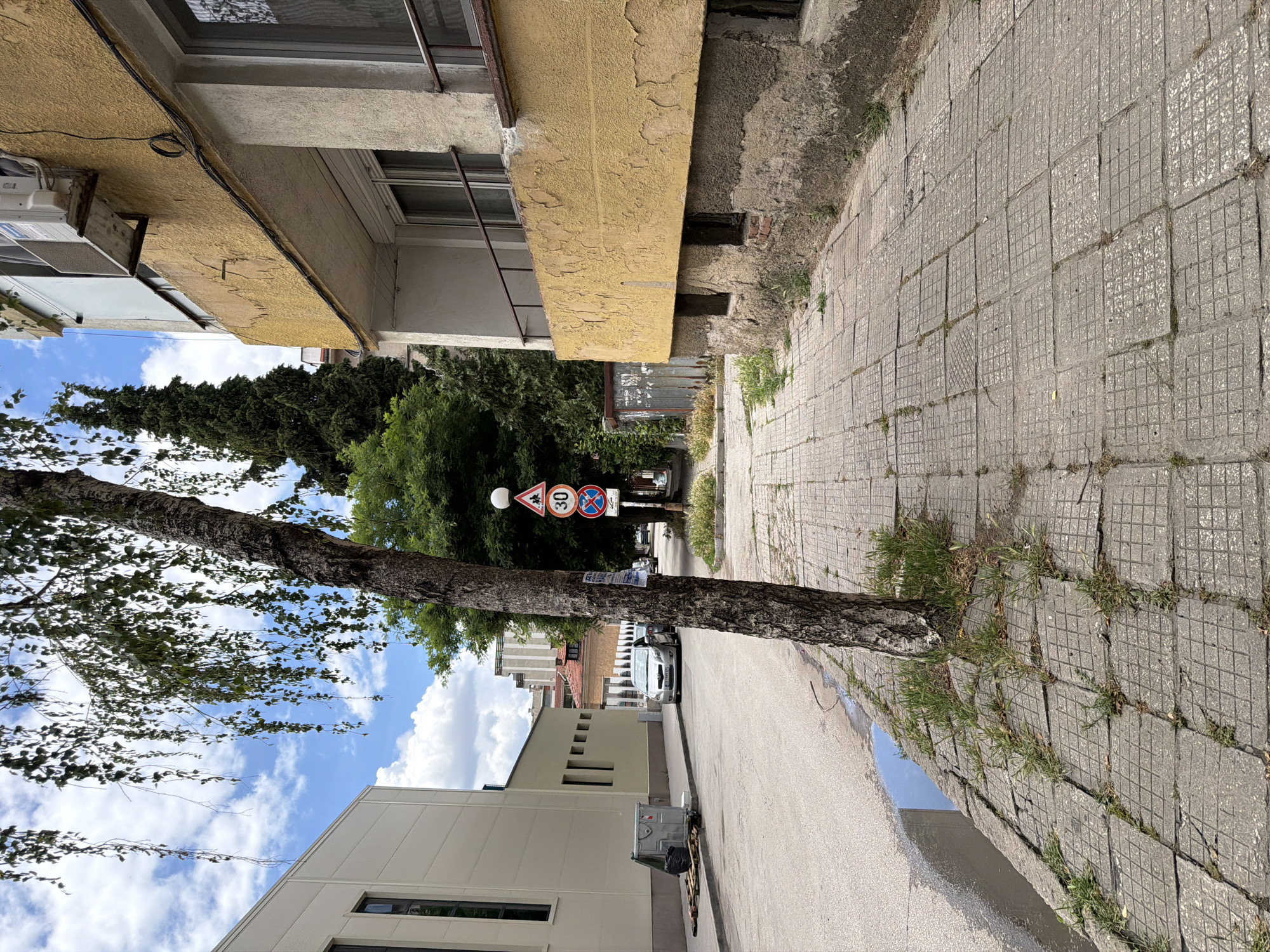 This is a street-level photograph taken in Pazardzhik, Bulgaria. In the foreground, a tree with sparse leaves grows on a cracked concrete sidewalk. The sidewalk is paved with square tiles and is adjacent to a street with a puddle of water on the left. A light-colored building with narrow windows stands on the left side of the street. Across the street, a yellow building with a balcony is visible, along with a tall, dark green coniferous tree and other trees. Several traffic signs are mounted on a pole near the tree in the foreground. These signs include a pedestrian crossing, a speed limit of 30, and a no parking symbol. A silver car is parked on the street. A dumpster and some wooden pallets are on the side of the street near the light-colored building. The sky is partly cloudy with blue patches.