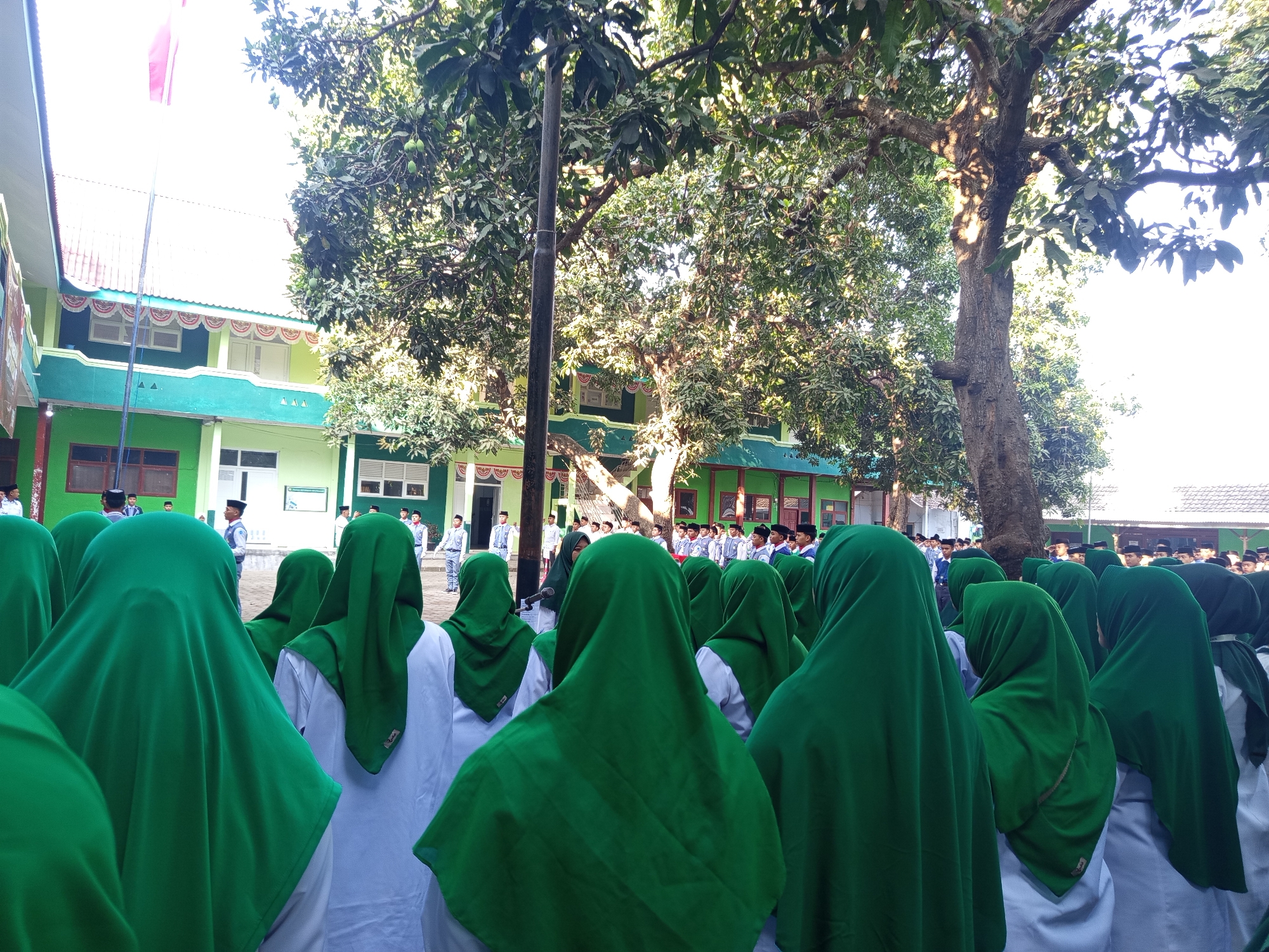 The image depicts an outdoor scene in front of a green and white school building. A large tree with dense foliage is prominently featured in the foreground and middle ground. A flagpole with a partially unfurled Indonesian flag is visible on the left side of the image. The scene appears to be a gathering of students, many of whom are wearing green hijabs and white clothing. They are standing in rows, facing away from the camera towards the building. Some students in the background are visible in the distance, also in uniform attire, some with dark hats. The overall impression is one of a school event or assembly taking place in Lumutan, Indonesia.