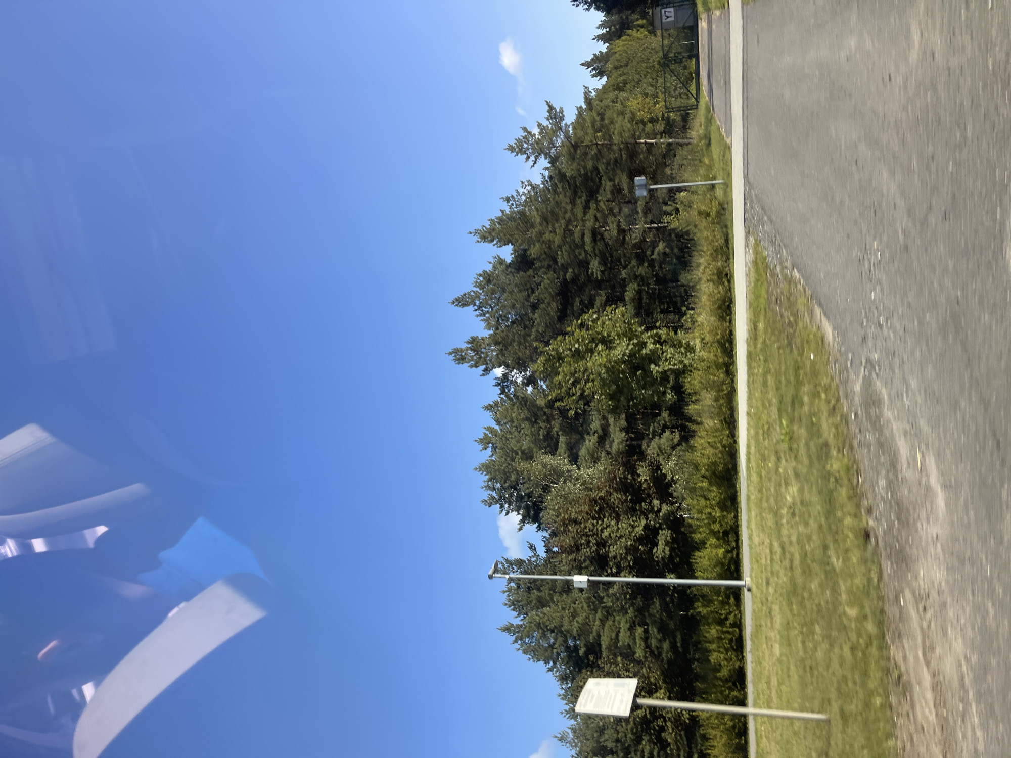 The image captures a view from inside a vehicle looking outwards towards a road, a grassy area, and a dense line of coniferous trees under a clear blue sky. In the foreground, the asphalt road curves to the right. To the left, a patch of grass is visible, bordered by a white strip and a slender metal pole with a rectangular sign attached to it. Further back, a taller, thinner pole with a light fixture on top stands near the tree line. The trees are predominantly pine, forming a thick, dark green wall. In the distance, a metal gate with a sign displaying "Y7" is visible on the right side of the road, suggesting an entrance or boundary. Reflections of the vehicle's interior, including a person's head and parts of seats, are faintly visible on the surface through which the photo is taken, likely a window. The scene appears to be a roadside in a suburban or natural area on a bright, sunny day. Given the context of Tallinn, Estonia, this scene could be from a road leading to or from the city's outskirts, possibly near a forested area or a park.