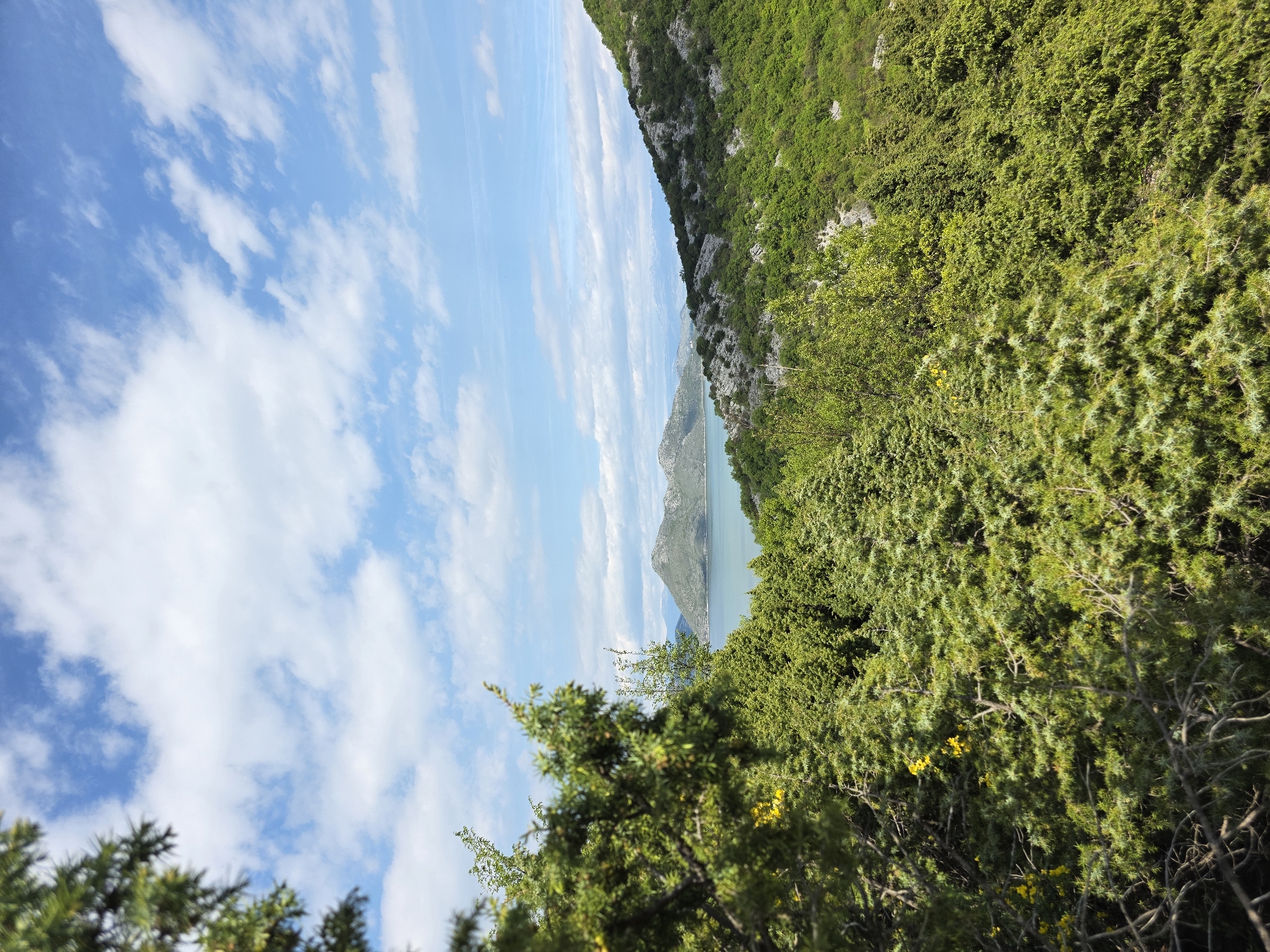 The image shows a view of Lake Skadar from Godinje, Montenegro, under a partly cloudy sky. The perspective is angled, showing lush green vegetation and trees in the foreground and on the right side of the frame. In the center, the lake stretches towards the horizon, bordered by rocky cliffs and mountains. The sky is blue with streaks of white clouds running parallel to the horizon. There are no visible people, animals, or signs of human activity beyond the presence of the lake and the implied viewpoint from the land.