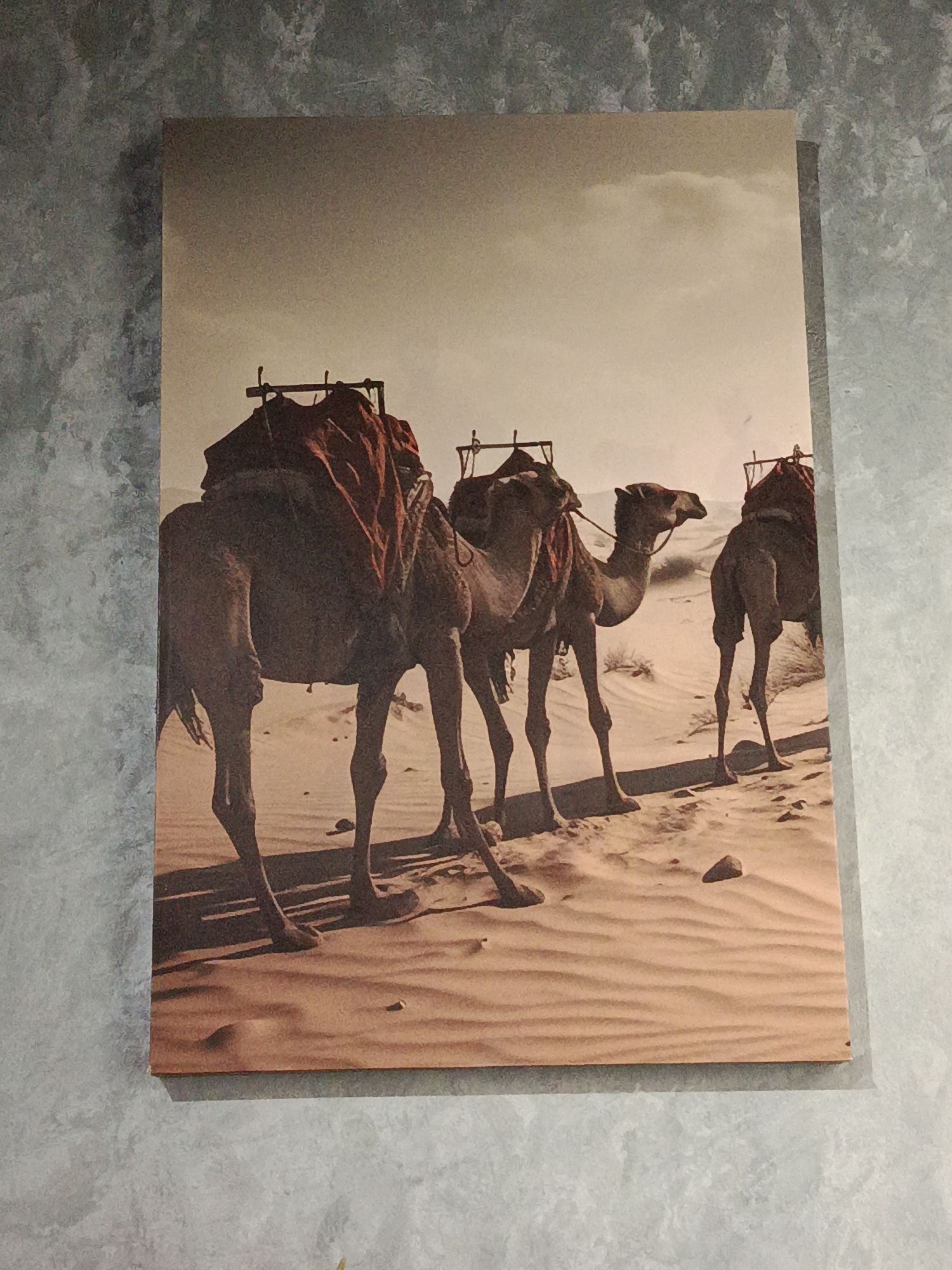 The image captures an artwork, likely a print or painting, depicting three dromedary camels in a desert setting. The rectangular artwork is mounted on a textured, grey wall, possibly indoors in Moscow, Russia.
The central subjects are the three camels, shown in profile and from the rear, seemingly walking in a caravan across sand dunes. The first two camels are positioned prominently in the foreground and mid-ground, facing right, while the third is further back and partially obscured. All camels are equipped with red, draped coverings or blankets and structural frames on their backs, indicating their use as pack animals.
The scene unfolds in a vast, arid desert landscape characterized by undulating sand dunes and sparse patches of vegetation. The ground exhibits subtle ripples in the sand. The sky is a pale, overcast beige with faint cloud formations. The lighting suggests daytime, possibly late morning or afternoon, with shadows cast by the camels on the sandy terrain. The artwork employs a warm, muted color palette, primarily featuring shades of brown, beige, and red, and has a somewhat stylized or painterly aesthetic. There is no visible text within the artwork itself.