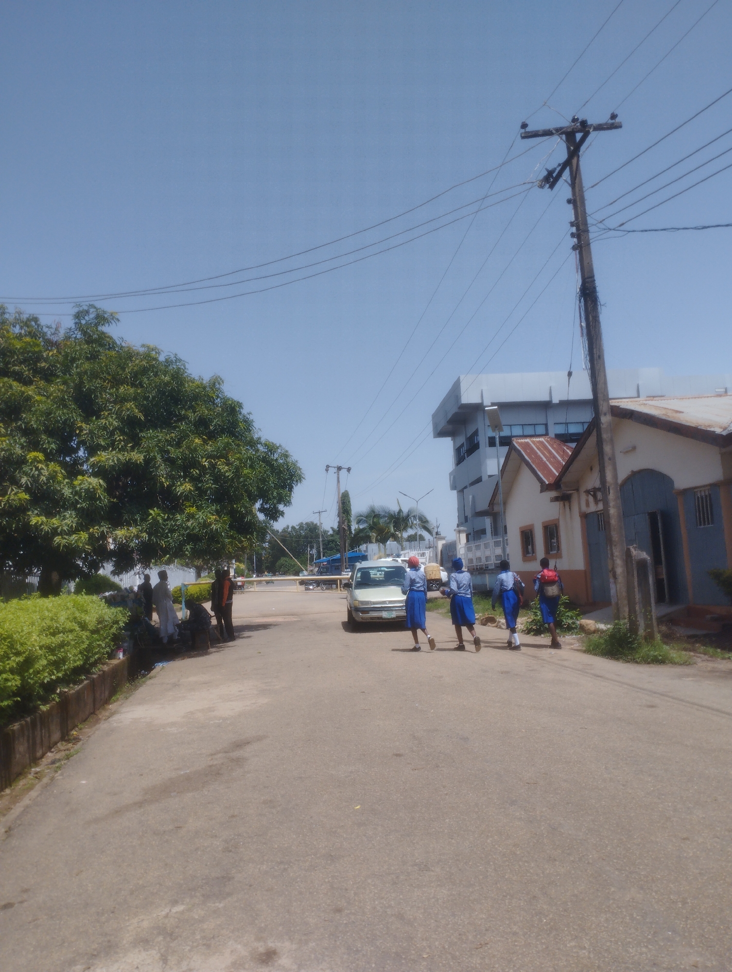 A bright, sunny day is depicted with a clear blue sky. The scene is a paved road in what appears to be a town or city in Jos, Nigeria. In the foreground, four young people in school uniforms, consisting of blue shirts and skirts, are walking away from the camera down the road. Three of them are wearing red headscarves.
On the left side of the road, a large, lush green tree stands beside a manicured hedge. Several people are gathered near the tree, some standing and some appearing to be sitting. Further down the road, a white vehicle is parked.
On the right side of the road, there is a small, white building with a corrugated iron roof. Adjacent to it is a larger, modern-looking grey building with multiple windows. A utility pole with power lines runs along the right side of the road, and there are also some palm trees visible in the distance. A white gate or barrier is visible across the road further ahead.
The overall impression is of a normal day with students heading somewhere after school or during a break. The sun is high in the sky, suggesting it is midday. There is no visible text in the image.