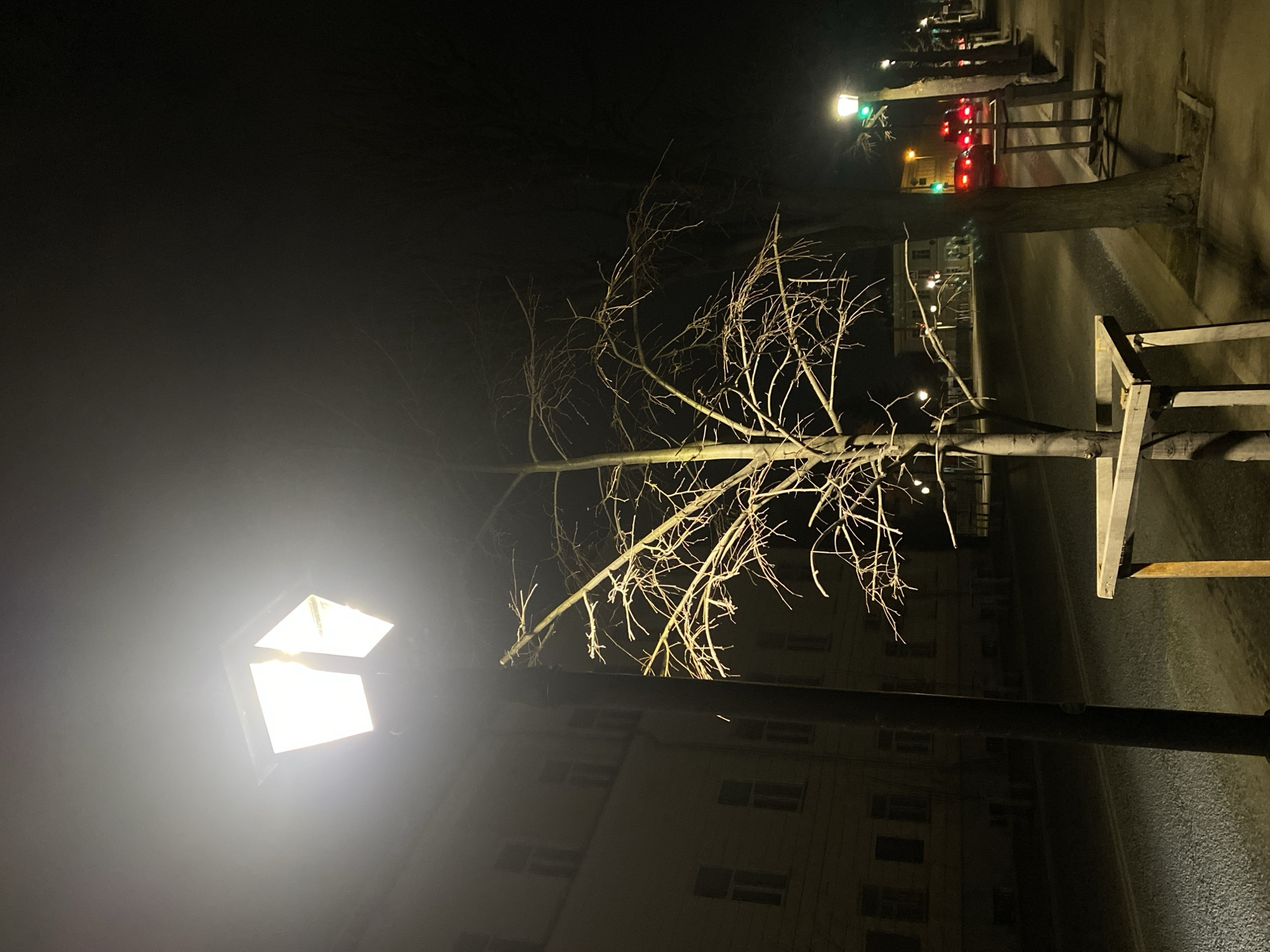 The image shows a night scene in what appears to be a residential area in Kazan, Russia. In the foreground, a streetlamp illuminates a bare tree next to a sidewalk. In the background, buildings and other streetlights line the street. A row of trees is also visible in the background, some with branches and leaves, and some without. The street appears wet, suggesting recent rain or snow. The overall scene is dark, with the streetlamp providing the main source of light.