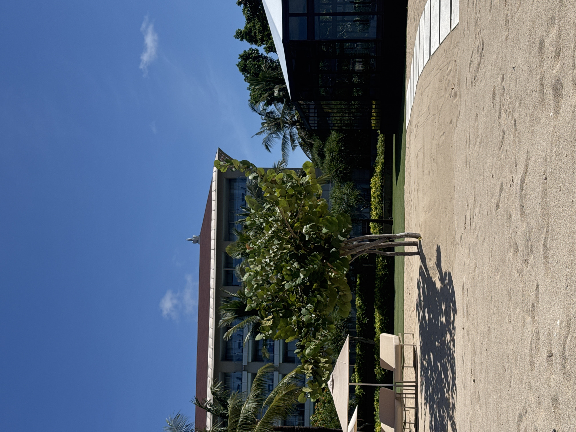 Here is a description of the image:
The image shows a beach scene in an urban area. A tall building is on the left, with palm trees and other greenery in front. The building has many windows. To the right of the greenery is a sandy beach. There are beach chairs and a small tree with dense foliage on the beach. A modern, possibly commercial, structure is at the top right of the image with a series of white slabs leading into it. The sky is blue with some scattered clouds.
