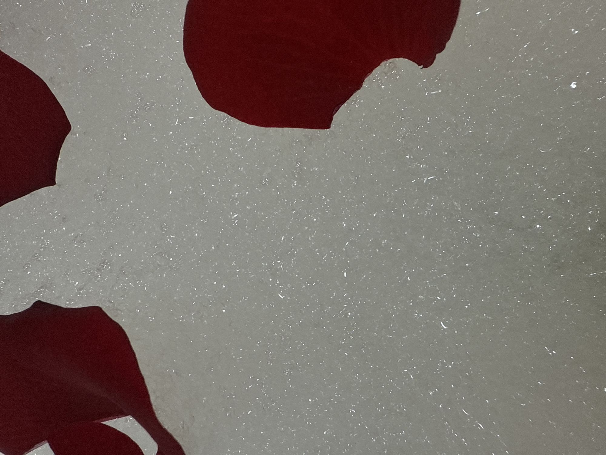 The image depicts several red rose petals scattered on a surface covered with dense, small white bubbles. The background is uniformly white-grey, suggestive of a foamy or bubbly liquid. The composition focuses on the textural contrast between the smooth petals and the frothy bubbles. The location in the city of Chaikovsky, Russia, is not apparent from the image.