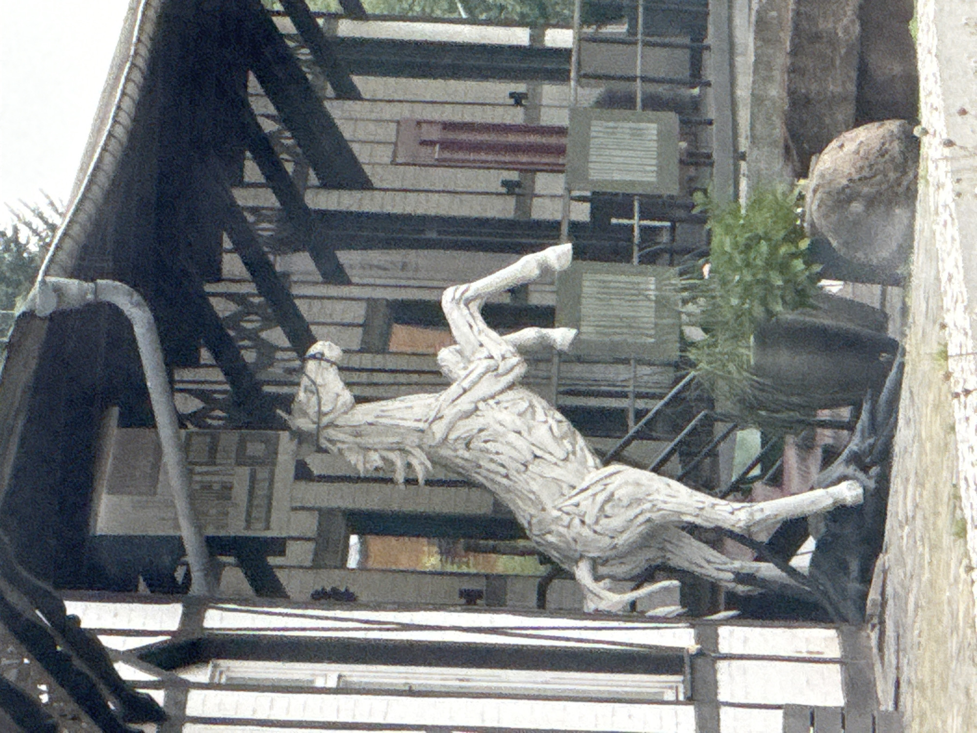 This image captures an outdoor scene in the city of Bad Lauterberg im Harz, Germany, featuring a prominent sculpture of a white horse in motion. The horse sculpture, made of what appears to be intertwined wood or wire, is positioned dynamically, with its front legs raised and its body contorted as if galloping or rearing. It is situated in front of a building with a dark, sloped roof supported by wooden beams, and a pale facade with vertical white elements and darker horizontal accents.
The building's architecture suggests it might be an establishment like a restaurant or guesthouse, with large windows and a covered walkway. Behind the horse sculpture, there are dark metal railings and several large, dark planters. One planter contains a vibrant green bush, adding a touch of nature to the scene. Further back, a large, rough-textured rock is visible, along with more of the building's structure and foliage. The ground in the foreground is a light-colored, textured surface, possibly cobblestone or gravel, with sparse green vegetation. The overall impression is one of an artistic installation enhancing the exterior of a building in a European setting.