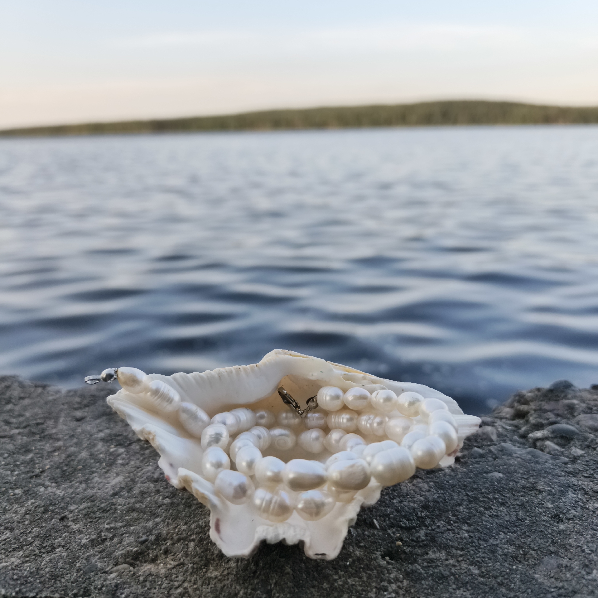 A strand of pearls is displayed within a seashell, which rests on a stone surface. In the background, a body of water stretches towards a distant treeline under a pale sky. The scene is located on the embankment of the Kama River in Chaikovsky, Russia.