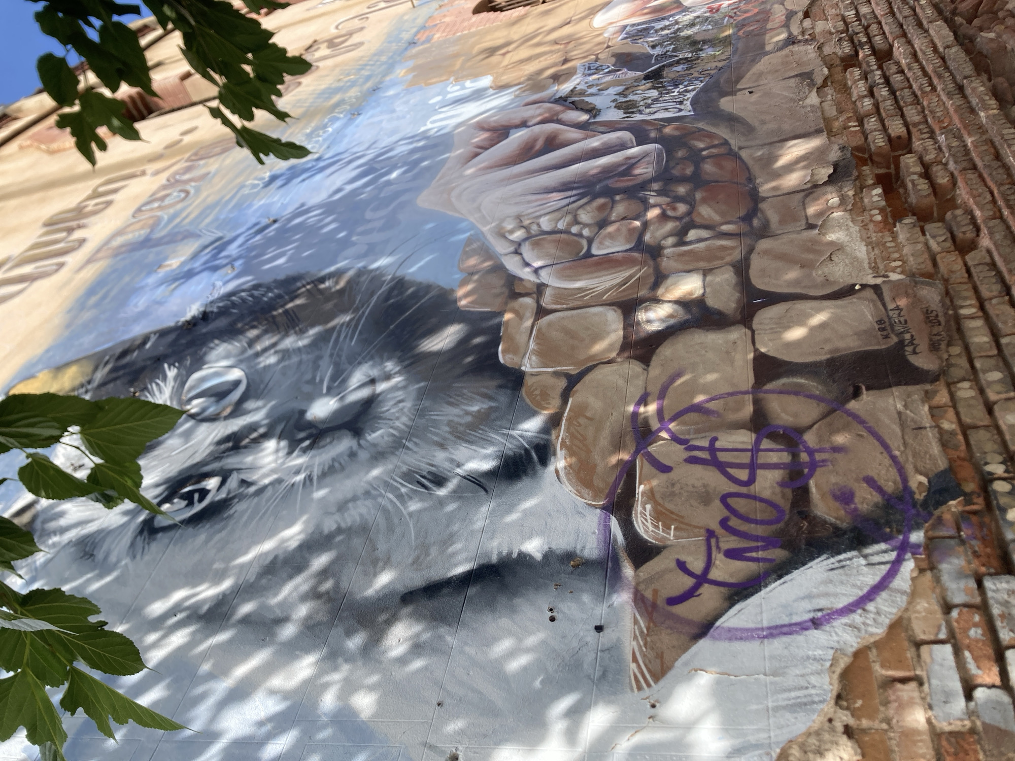 This media file captures a section of a large mural painted on a weathered brick wall, located in Viladecans, Spain. The mural depicts a stylized rendering of a cat or lion's face, rendered in shades of gray and white, emerging from what appears to be water. The water is painted with blues and whites, reflecting light and movement. Above the cat's face, a human hand, depicted with realistic detail and shading, reaches down, seemingly interacting with a cluster of rounded stones or pebbles.
The wall itself shows signs of age and decay, with exposed brickwork and peeling paint, suggesting an outdoor urban setting. Sunlight casts dappled shadows across the mural, indicating it is daytime, likely late morning or early afternoon, with clear weather. The overall impression is a blend of artistic expression and urban decay.
Visible text includes a signature or artist's tag in white lettering near the bottom right of the mural, reading "KRB KALAvera" followed by "VILA 2025". A purple spray-painted symbol, possibly a stylized dollar sign within a circle, is also present on the mural. The mural's perspective is from a low angle, looking upwards, with green leaves from an overhanging tree partially obscuring the top of the image.