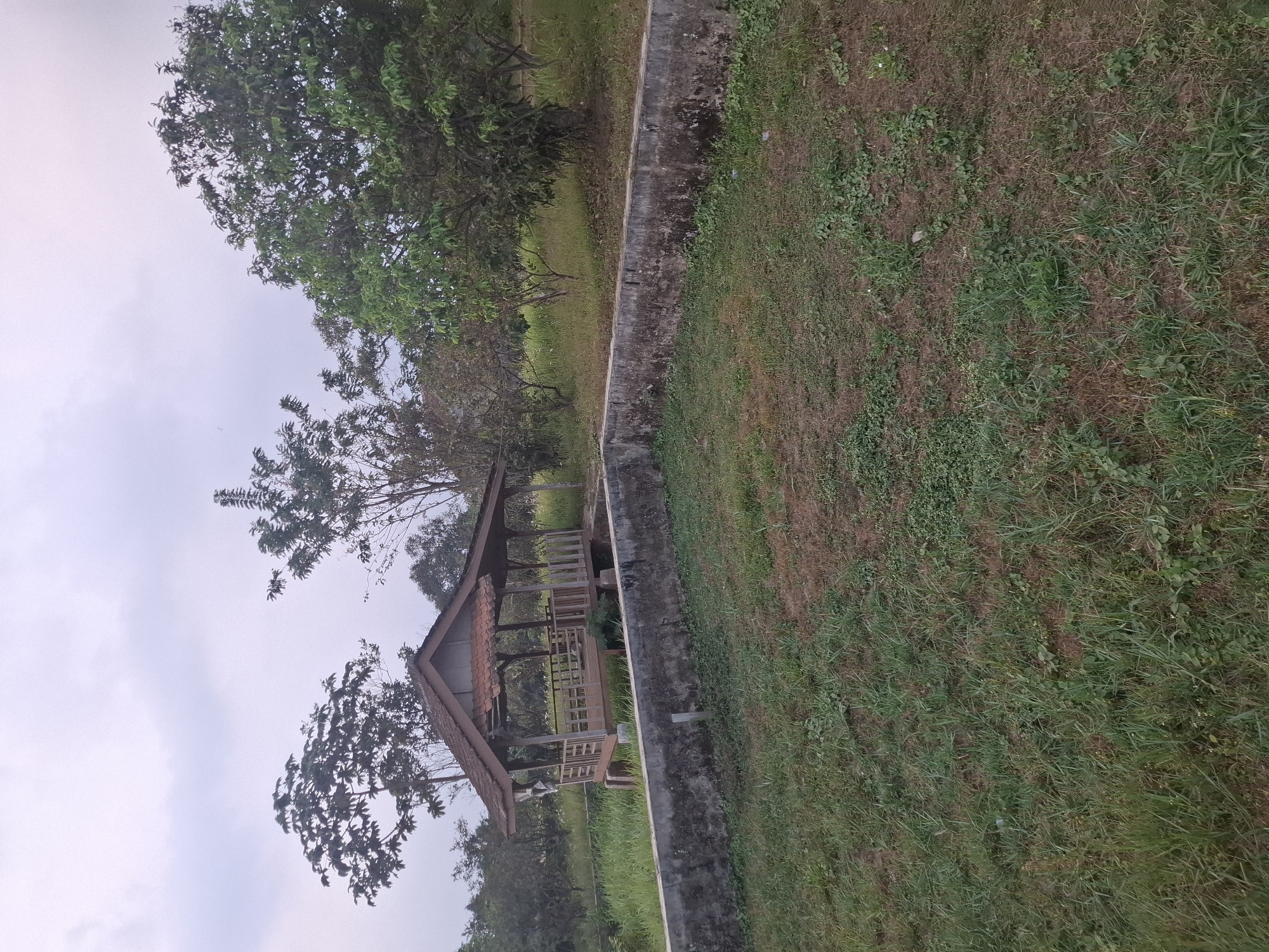 The image depicts an outdoor scene, likely in Kutasirna, Indonesia, featuring a wooden gazebo situated in a grassy area. The gazebo, with a reddish-brown tiled roof, is raised on stilts and has railings around its perimeter. A concrete wall, showing signs of wear and moss, runs horizontally across the foreground, enclosing a portion of the grassy area. Beyond the gazebo, a variety of trees and vegetation are visible, with a cloudy sky overhead. The overall impression is of a natural, perhaps slightly overgrown, environment. There are no people or animals visible in the image.